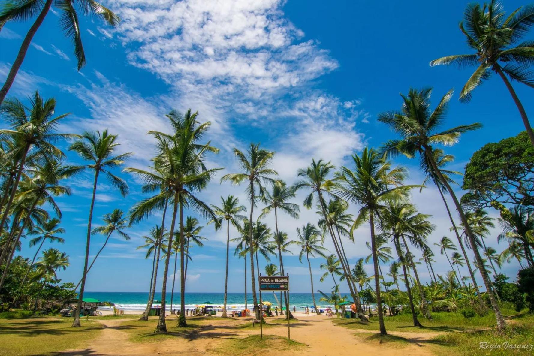 Shark Tubarao Suites Central Area