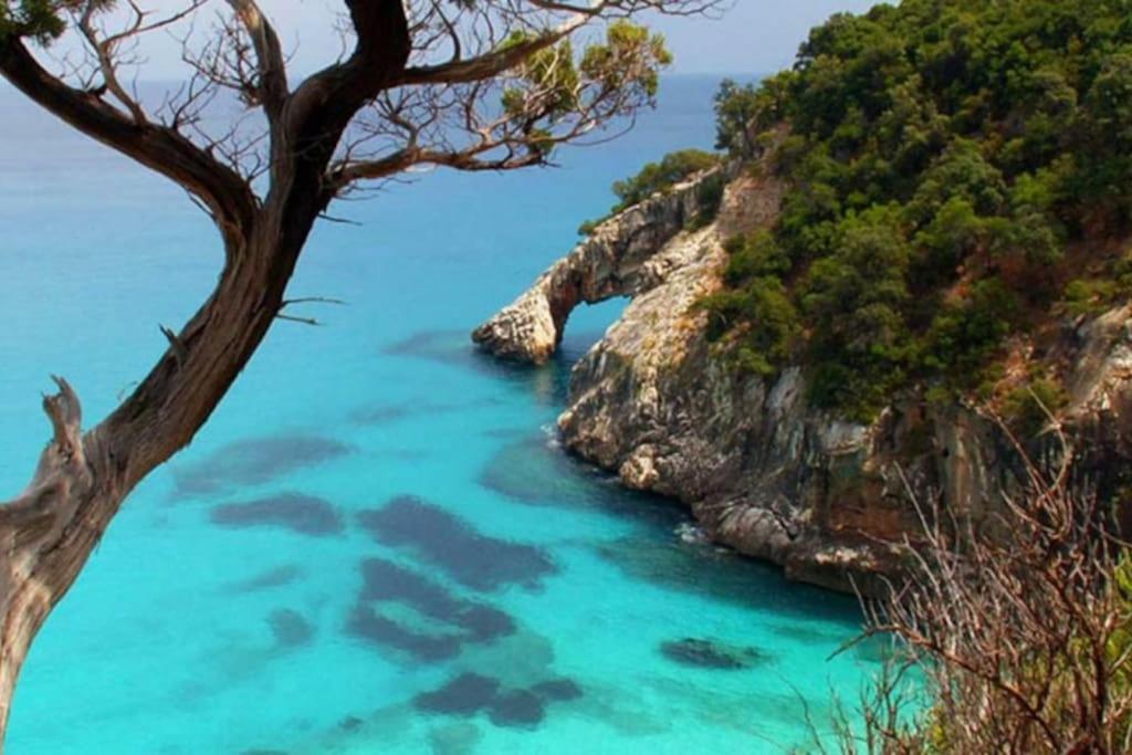 Appartamento vacanze Ogliastra a un passo dal mare photo 4