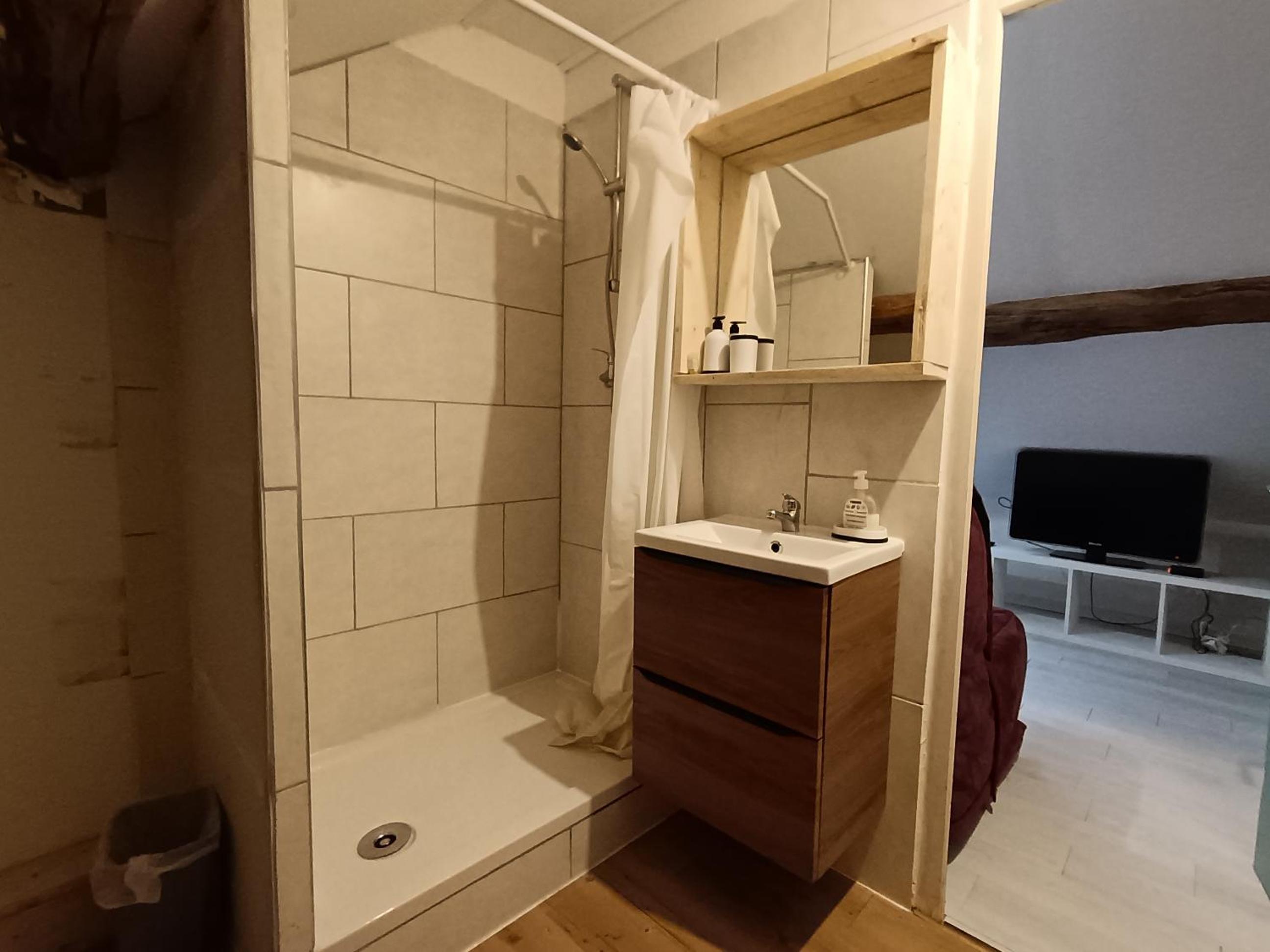 Tournan en Brie, centre ville, superbe appartement, photo 7