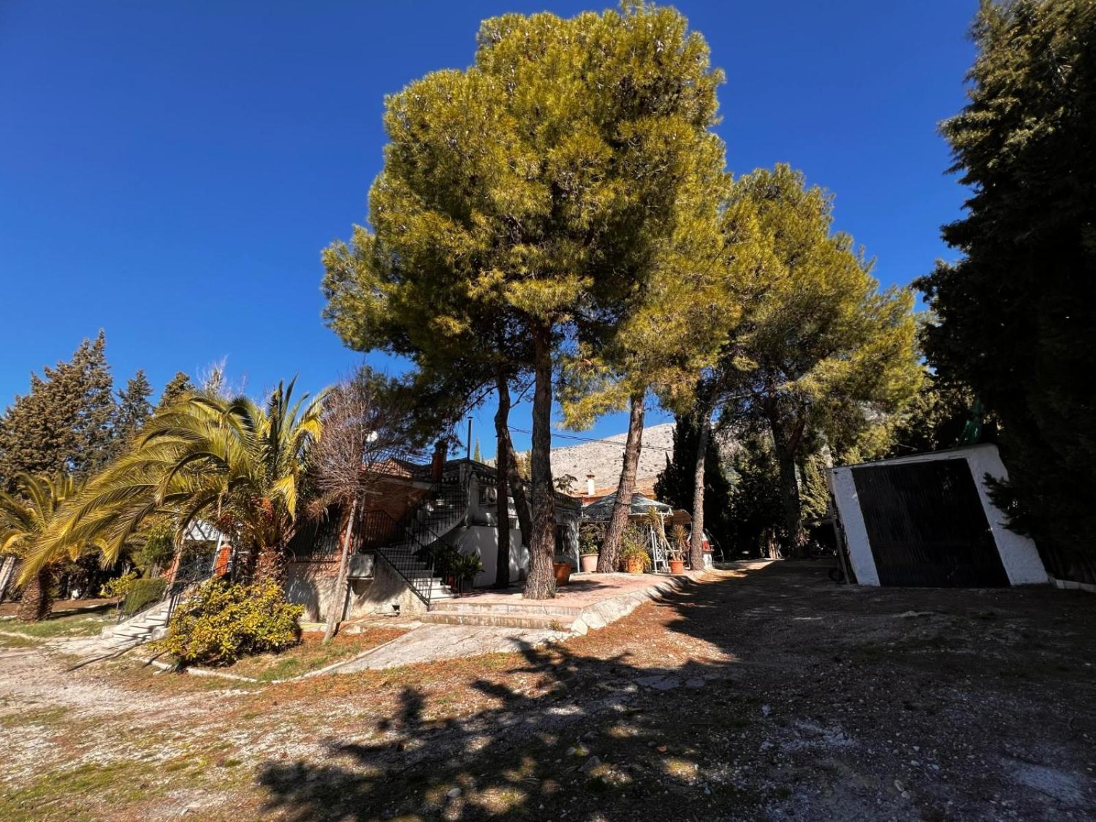 Villa Lazaro