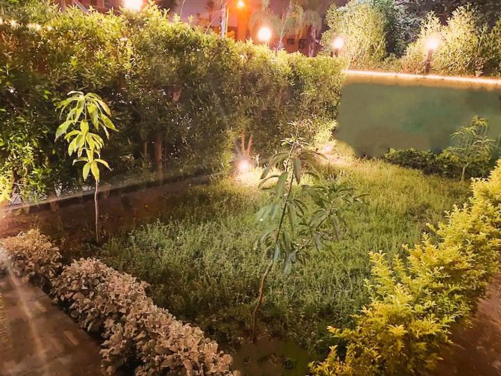 Garden Apartment in Sheikh Zayed Private Entrance 24h Security