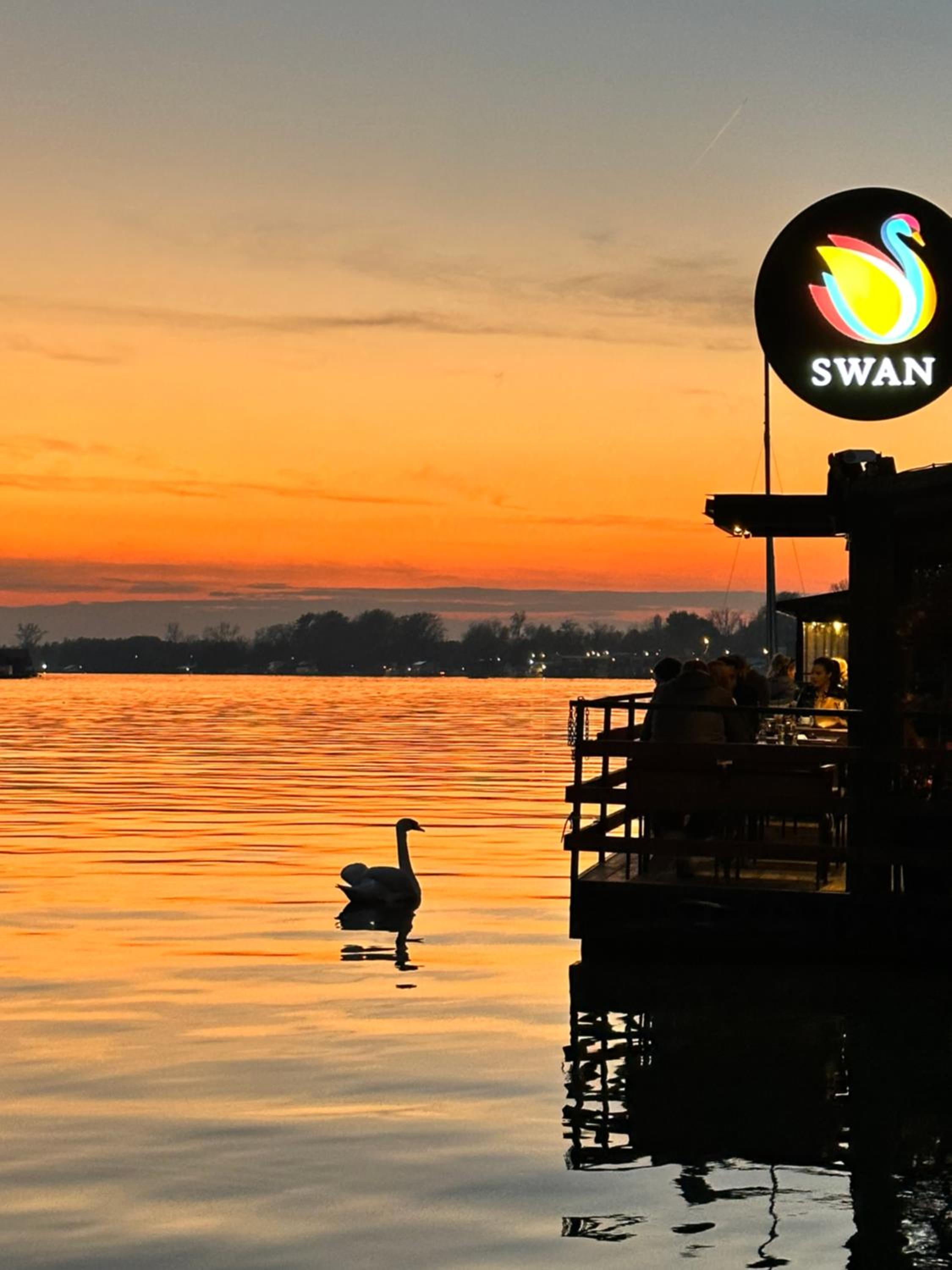 Swan view 5