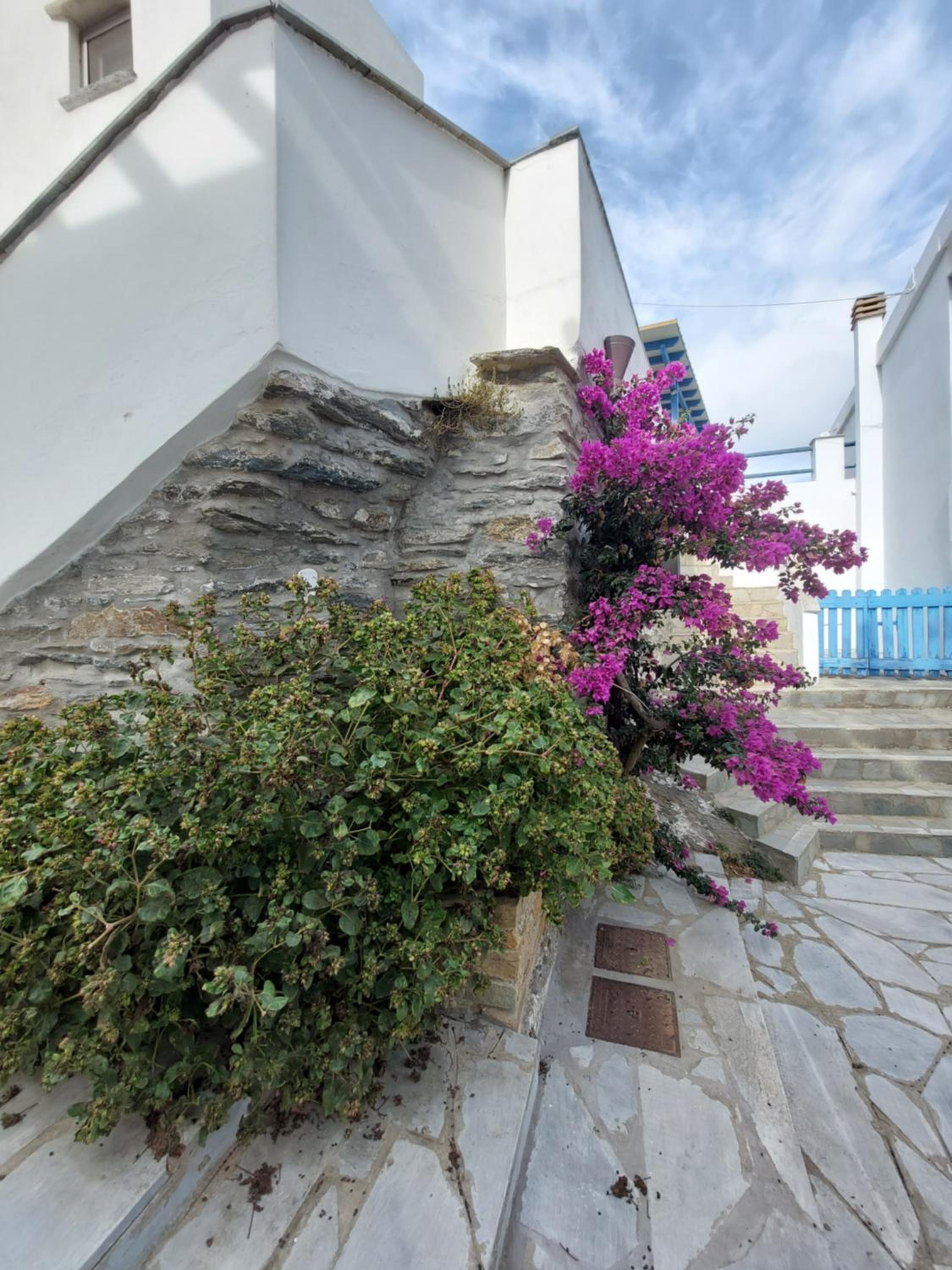 Emily's Guest House photo 3