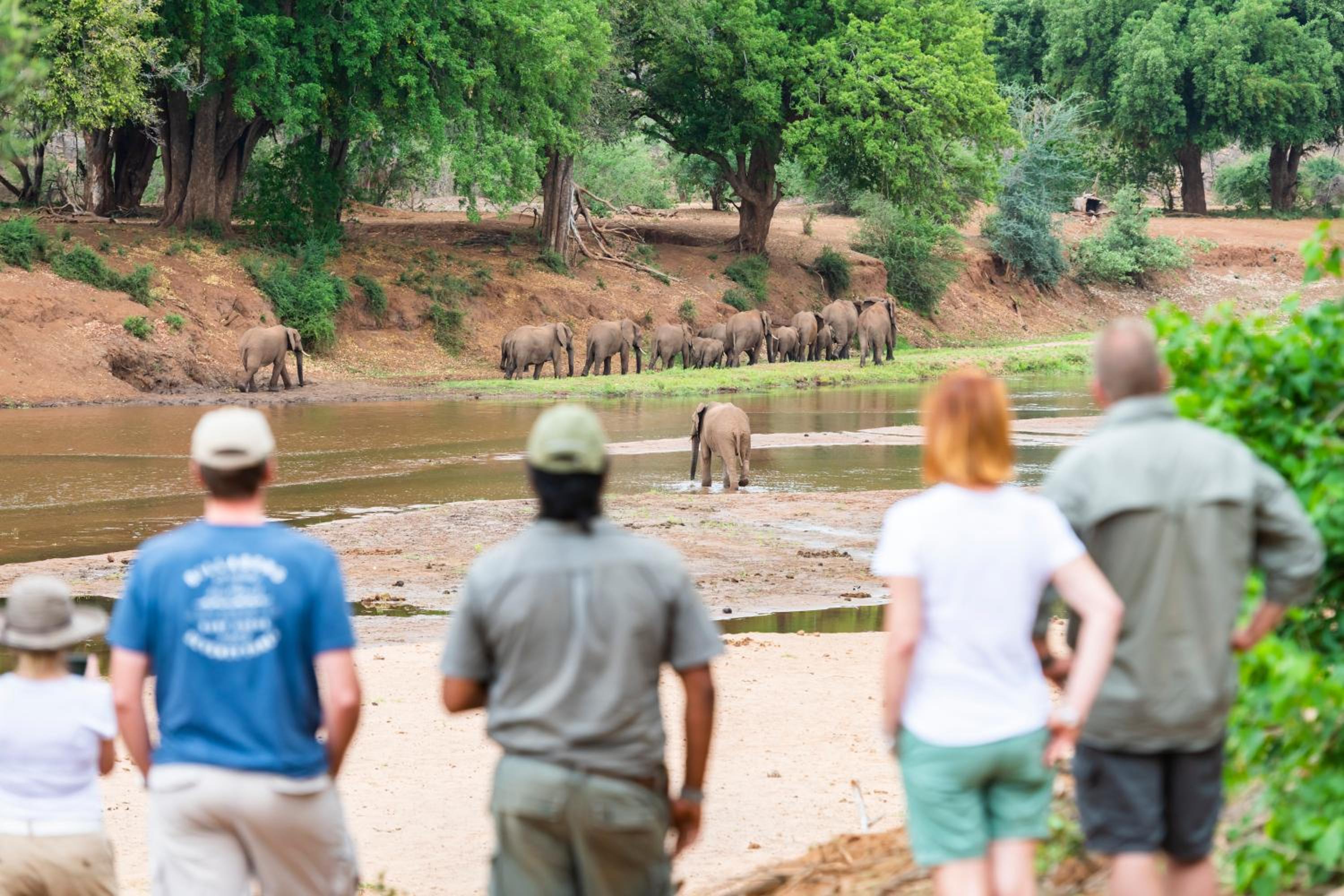 Nkula Walking Camp by RETURN Africa view 4