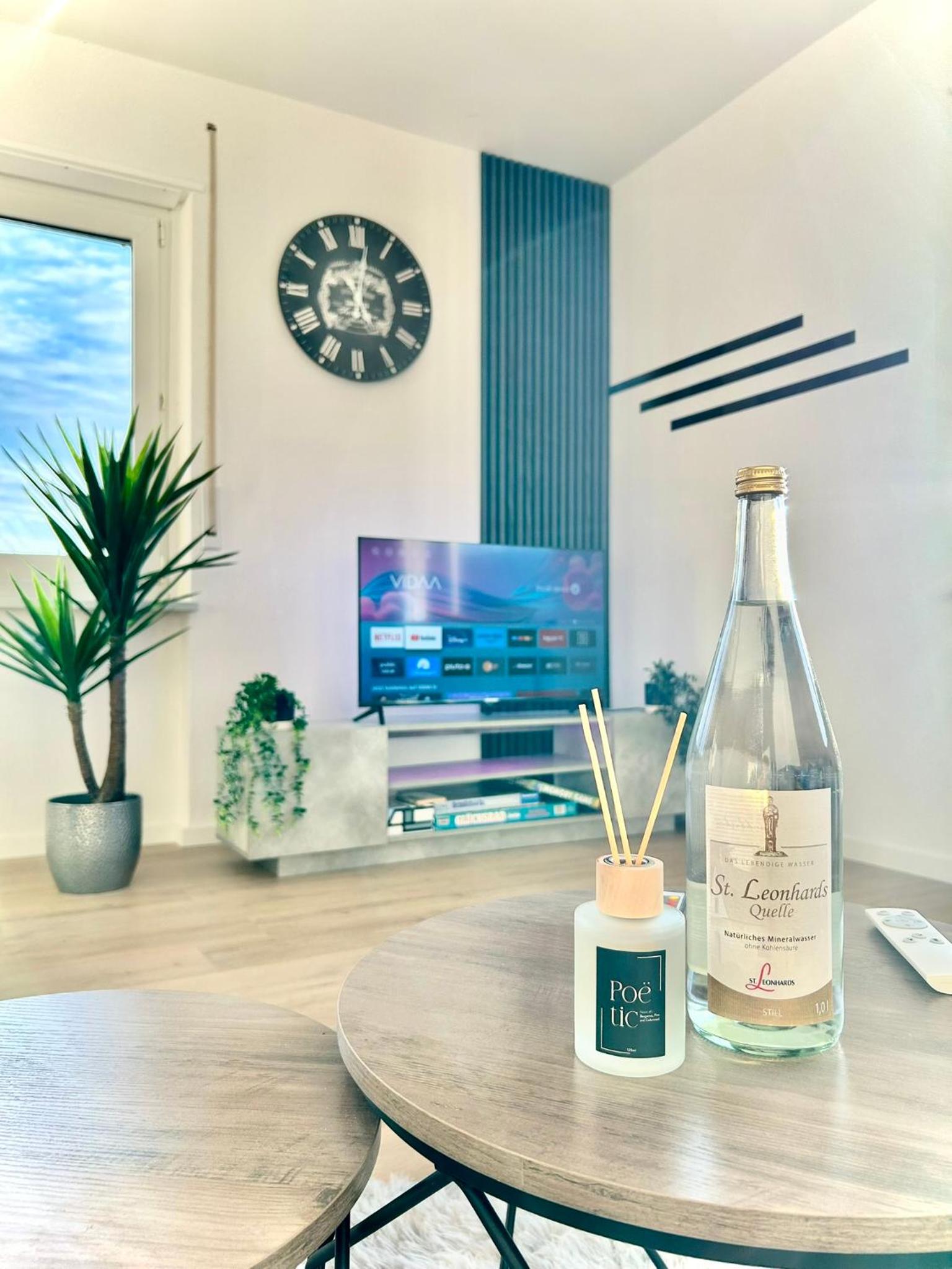 Explore CH & FR - deluxe apartment Basel Airport