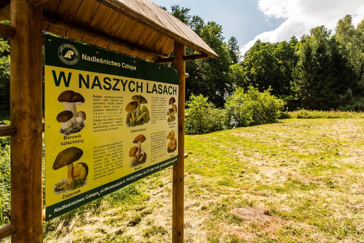 Gospodarstwo nad jeziorem