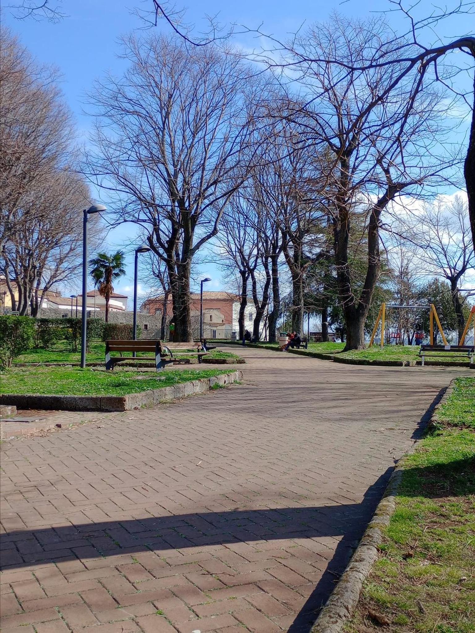 Photo 7