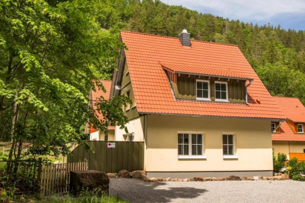 Ferienhäuser Ilsestein Einzelhaus, 130 qm, 4 Schlafzimmer
