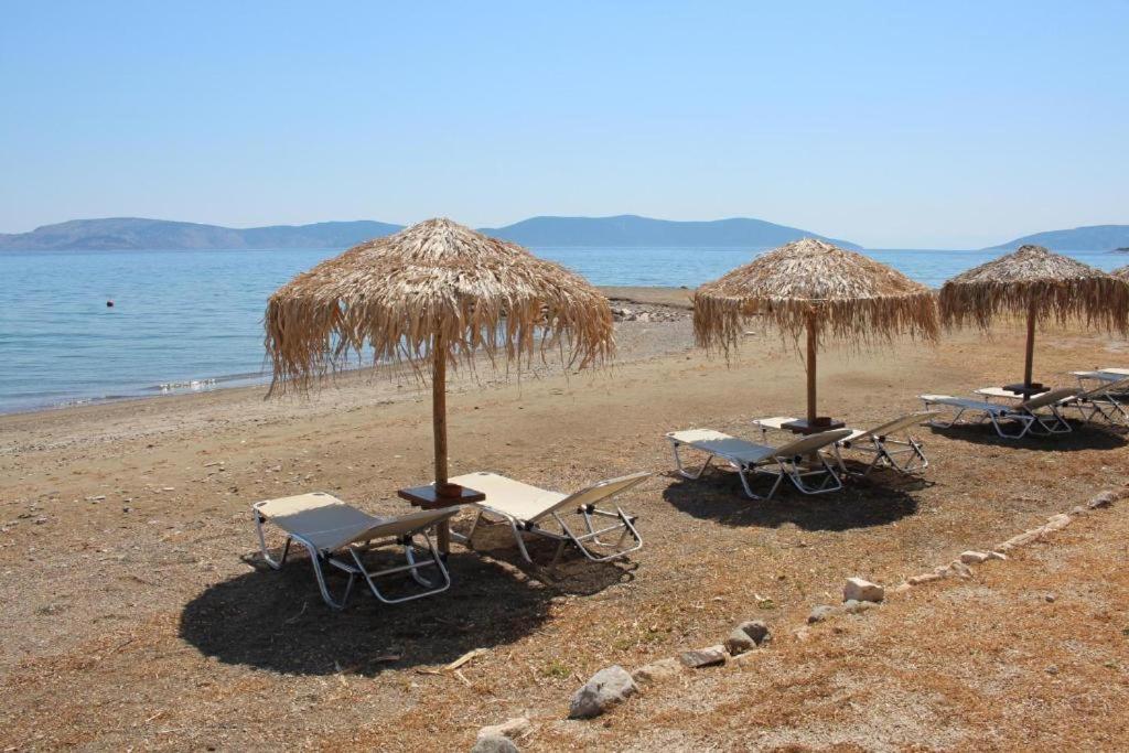 Vassia Holiday Home's view 4