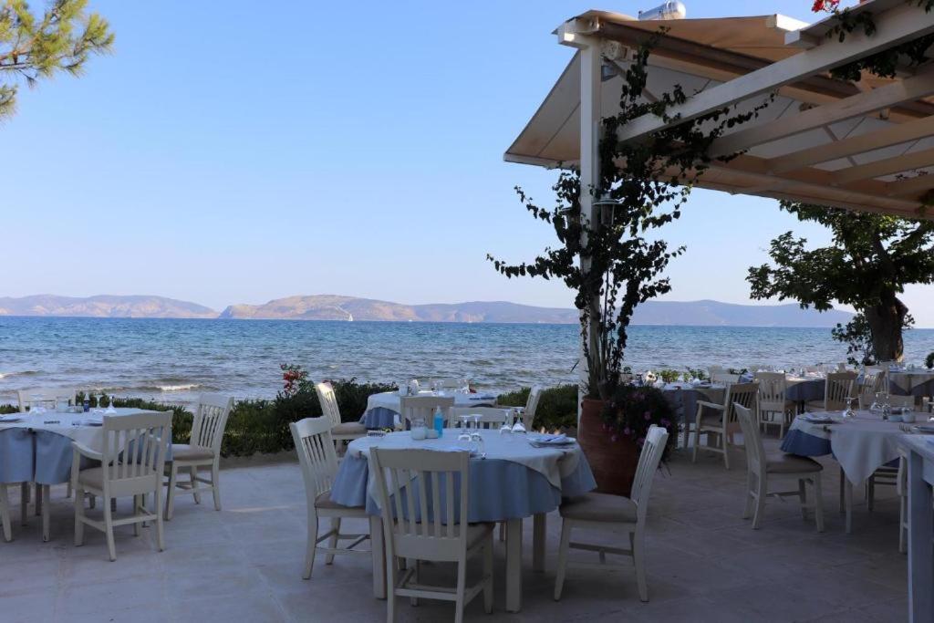 Vassia Holiday Home's view 5