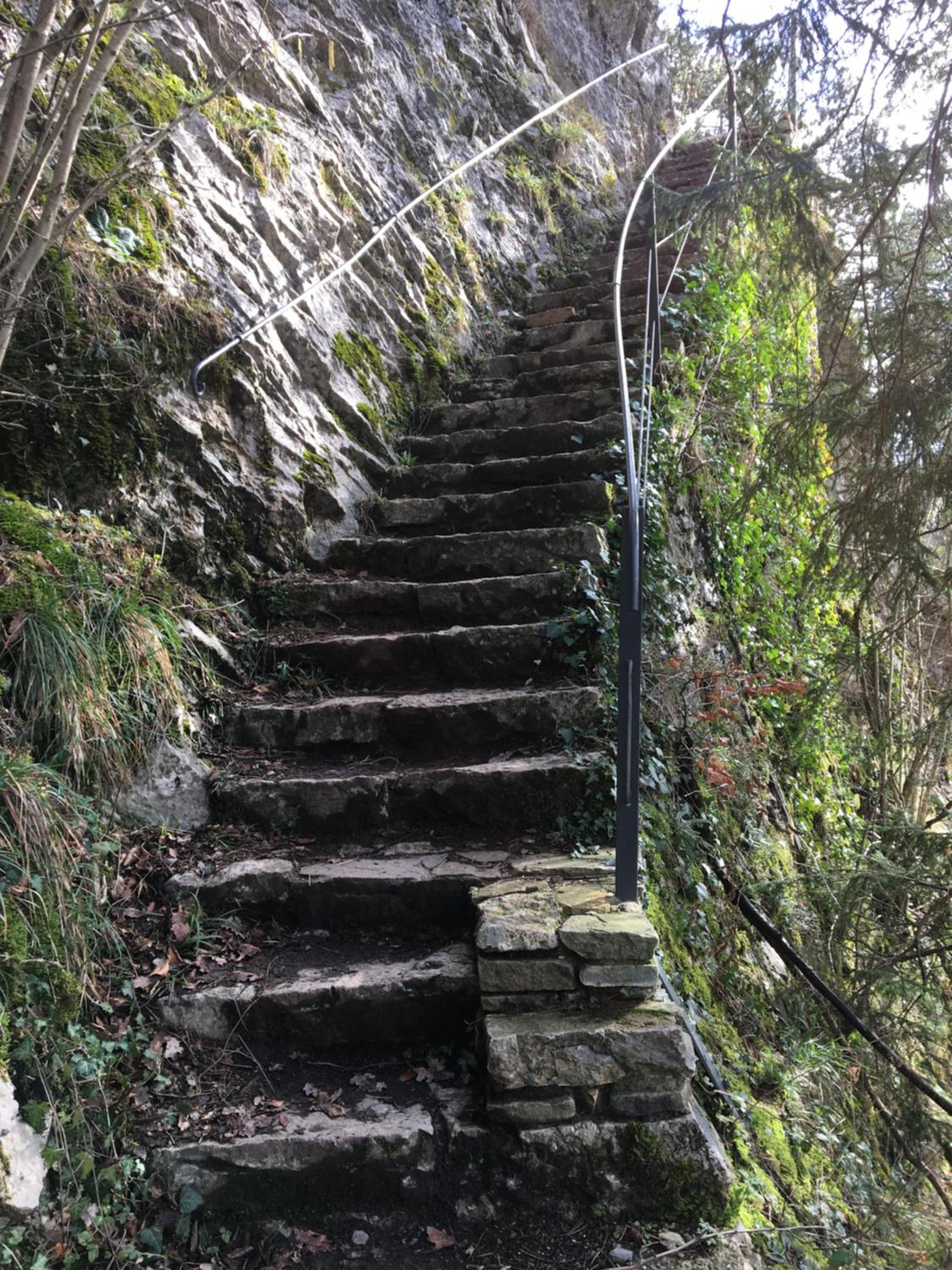 ziggy's room with a view