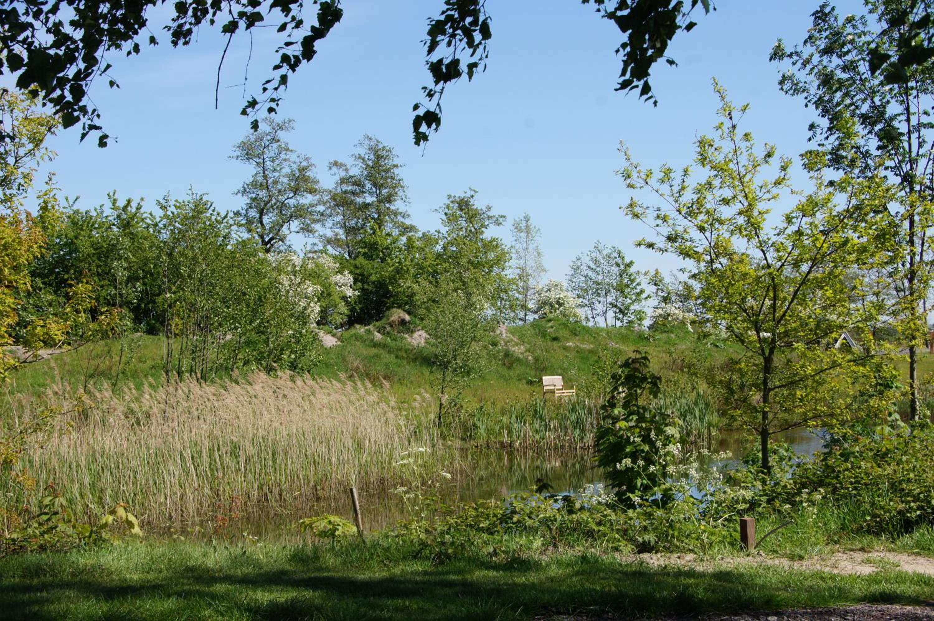Photo 16
