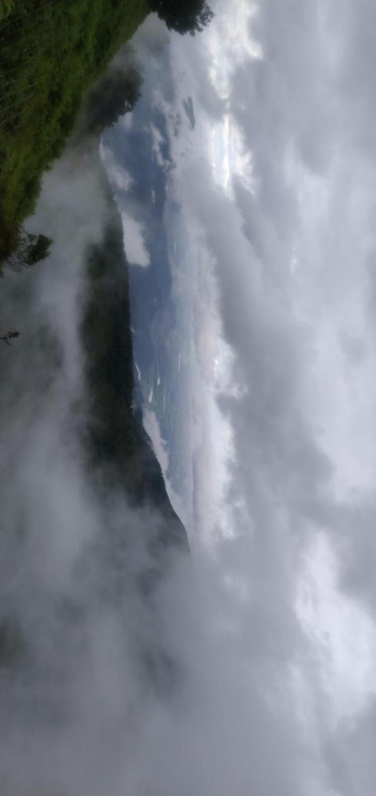 Photo 38