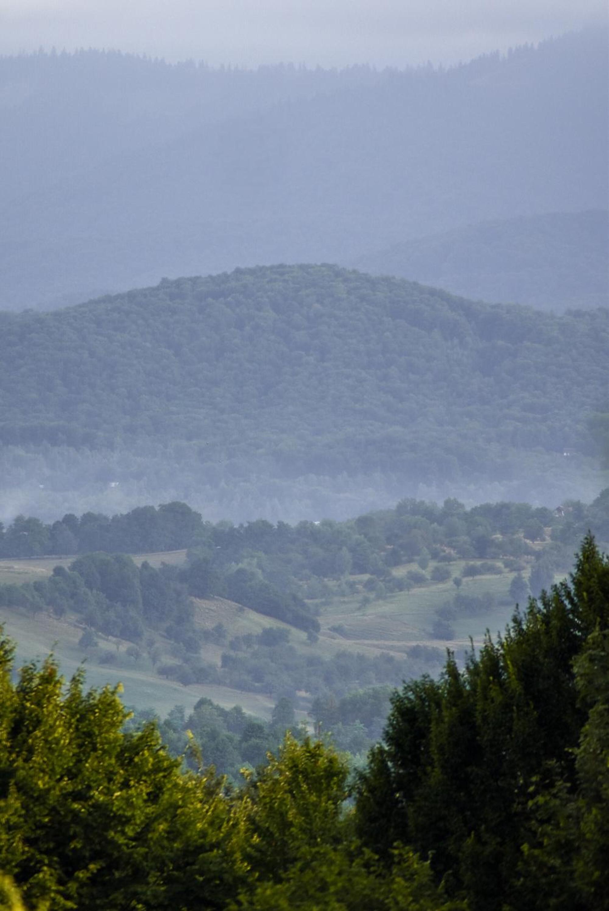 PINIALE GLAMPING TRIB