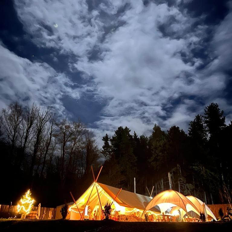 PINIALE GLAMPING TRIB