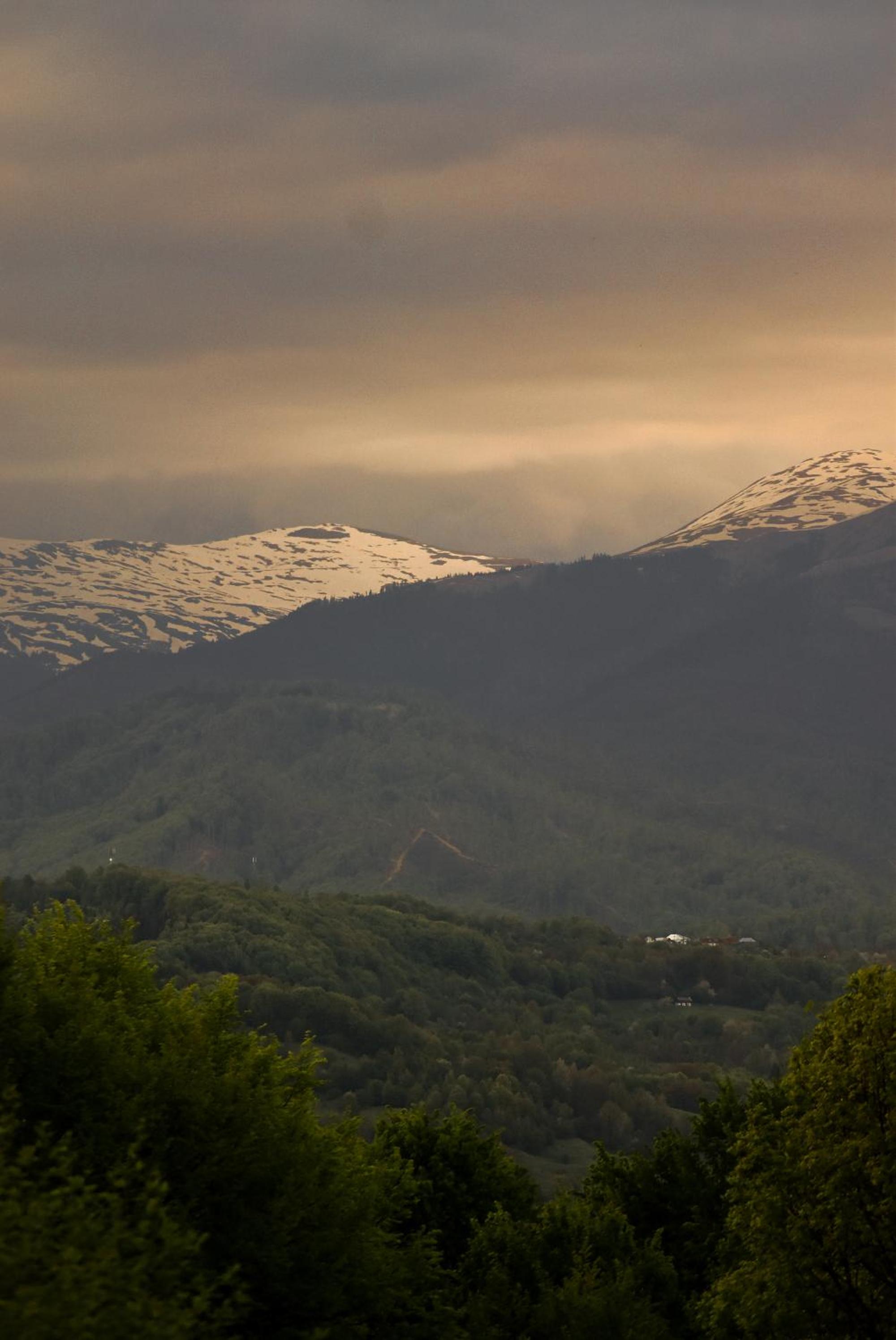 PINIALE GLAMPING TRIB