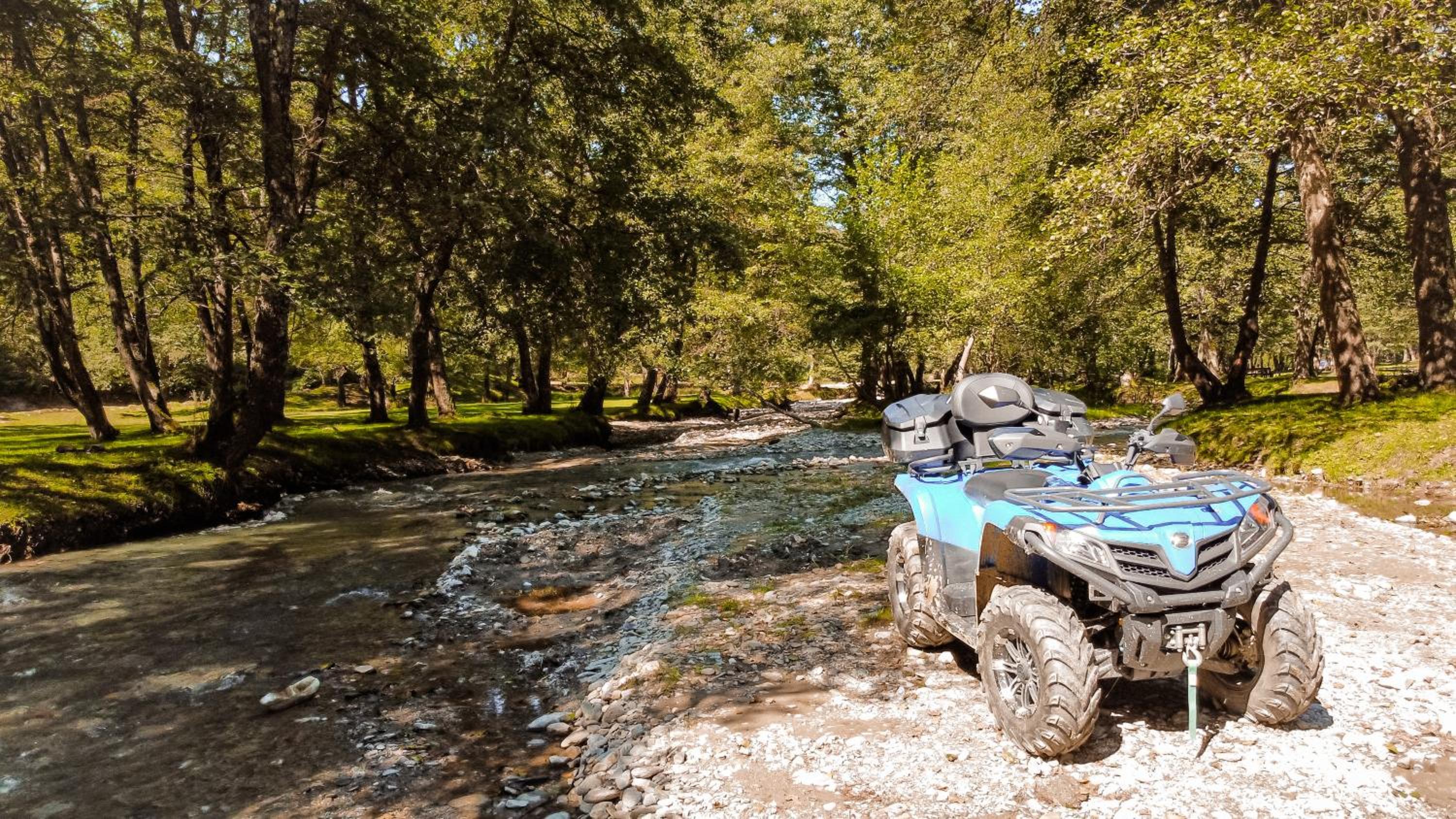 PINIALE GLAMPING TRIB