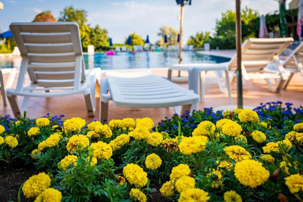 Paradise Corner Topola - 2 bedroom ground floor apartment