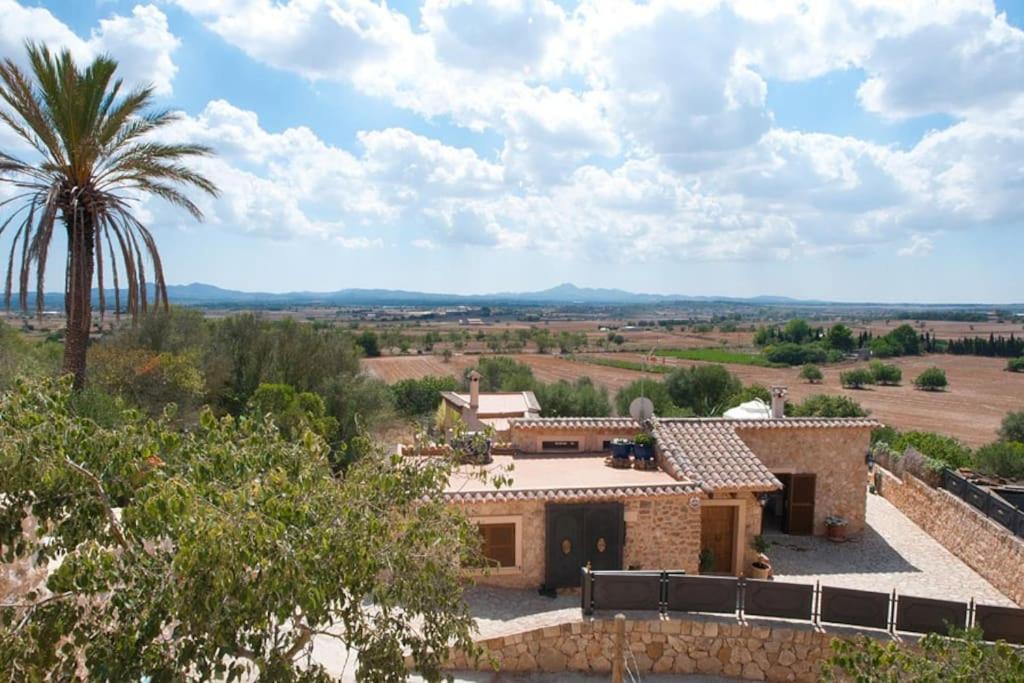Finca Petra
