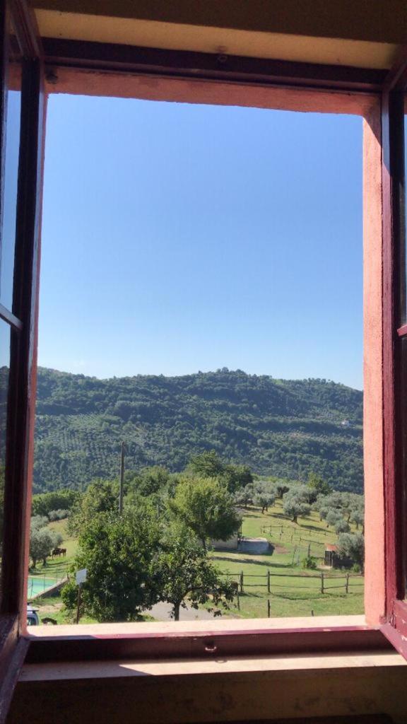 Azienda Agricola Colle Paradiso