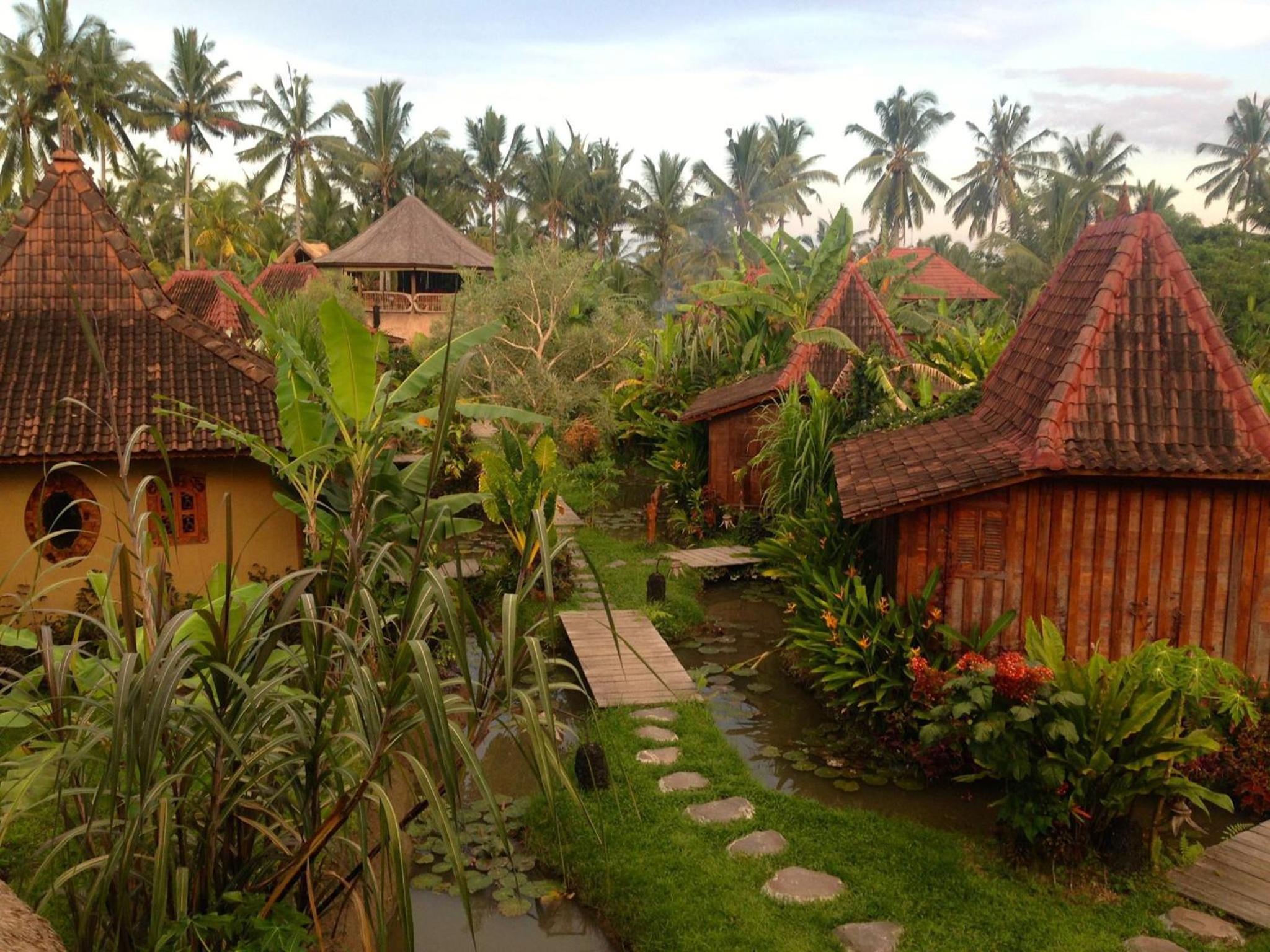 Dragonfly Village