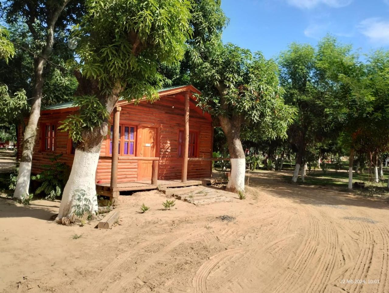 Camping Caperucita Roja