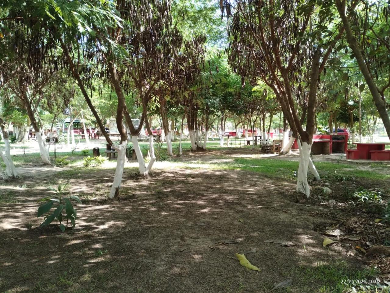Camping Caperucita Roja