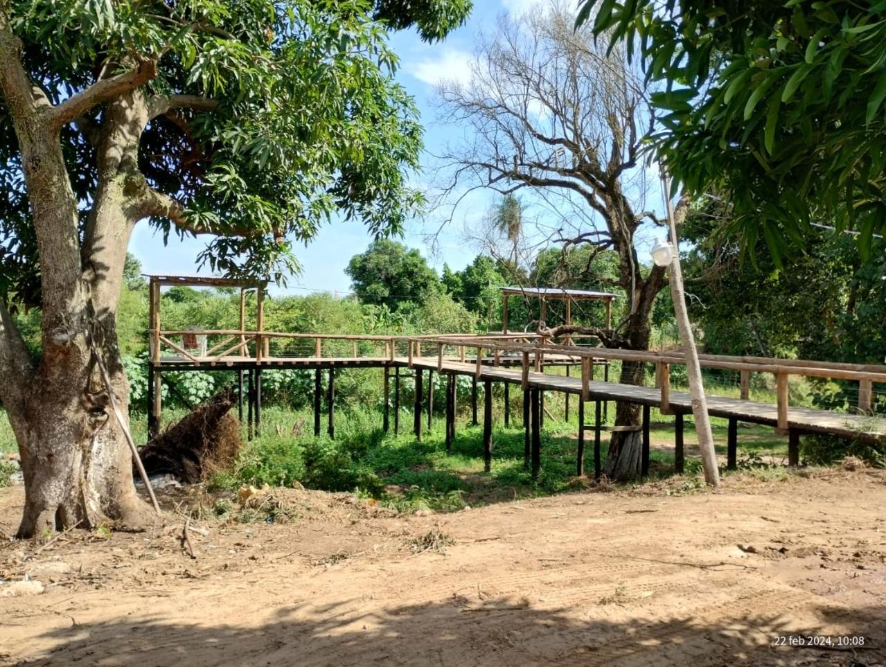 Camping Caperucita Roja