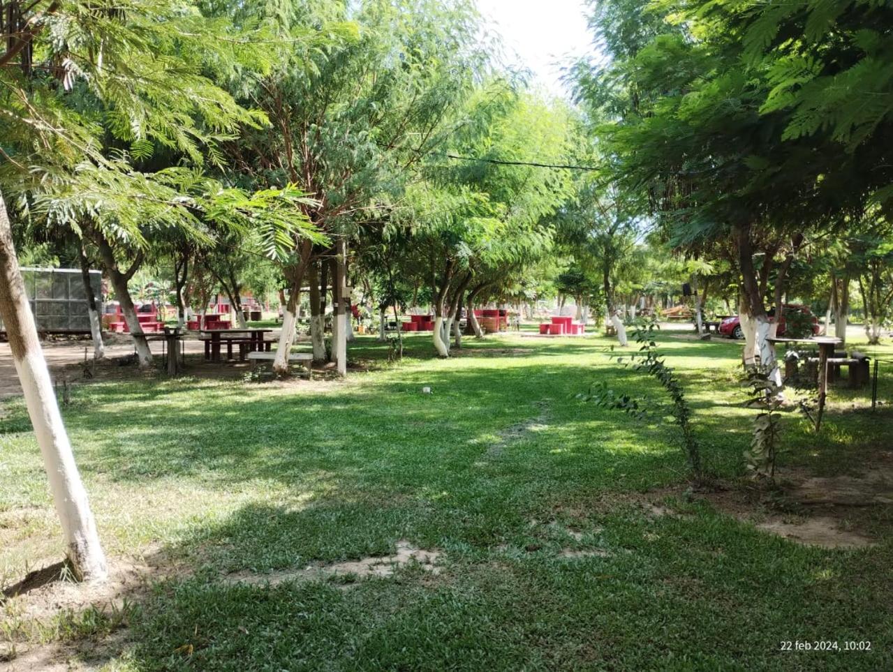 Camping Caperucita Roja
