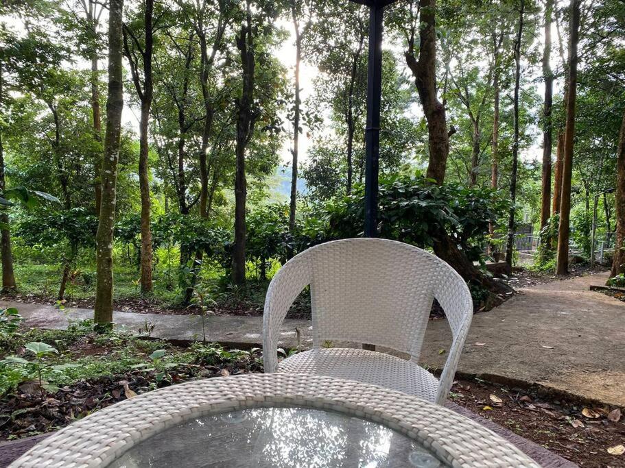 Wildrootstay 3 bed cottage
