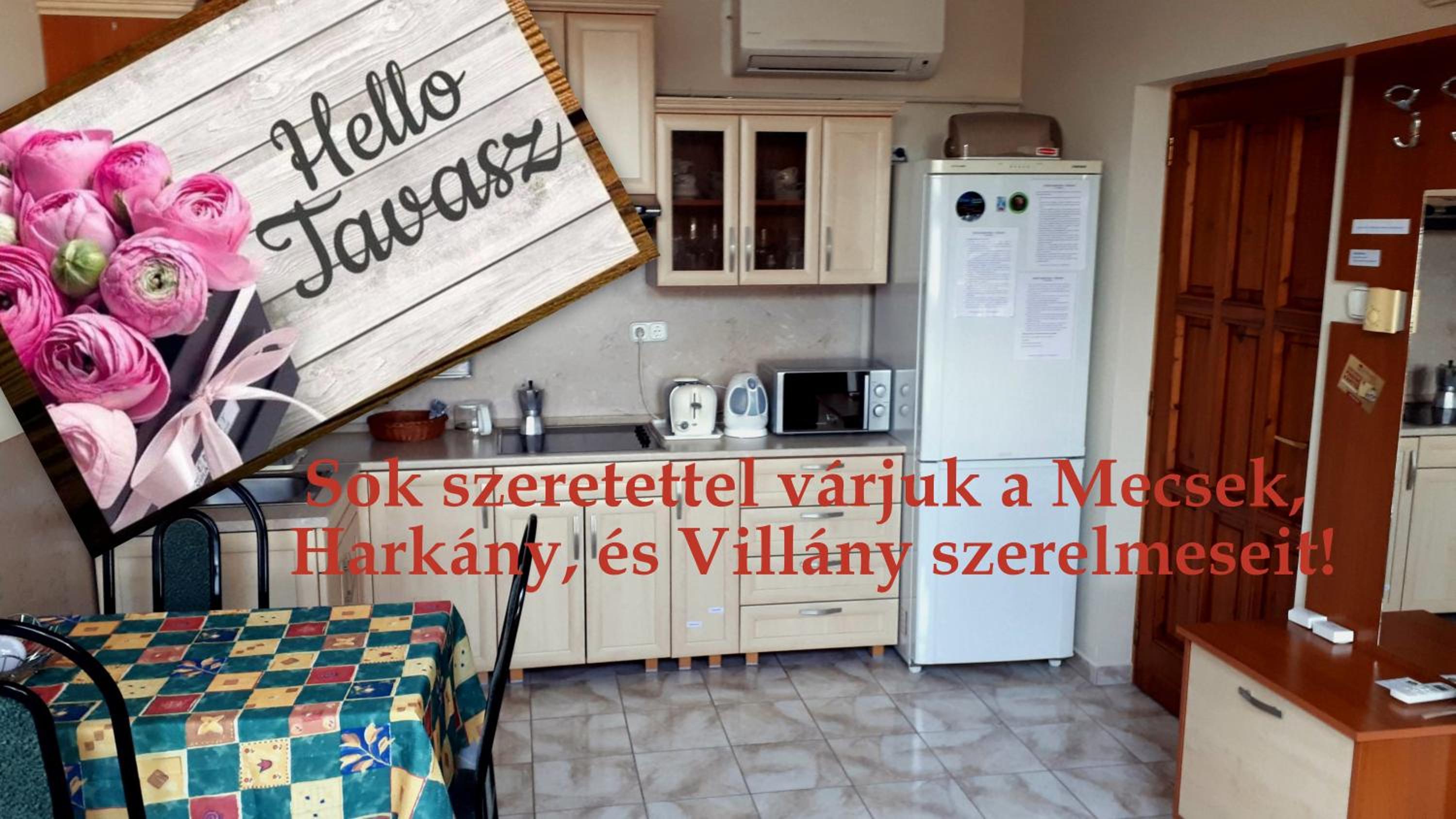 Activity Apartman