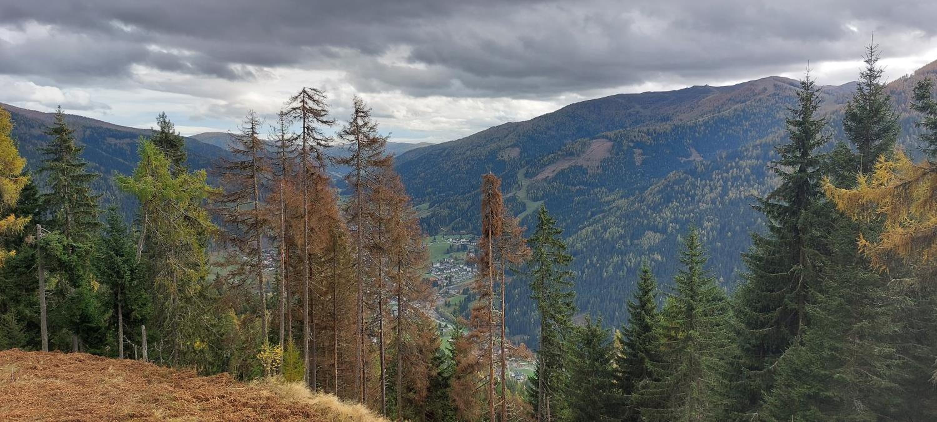 Apartment Una Bad Kleinkirchheim