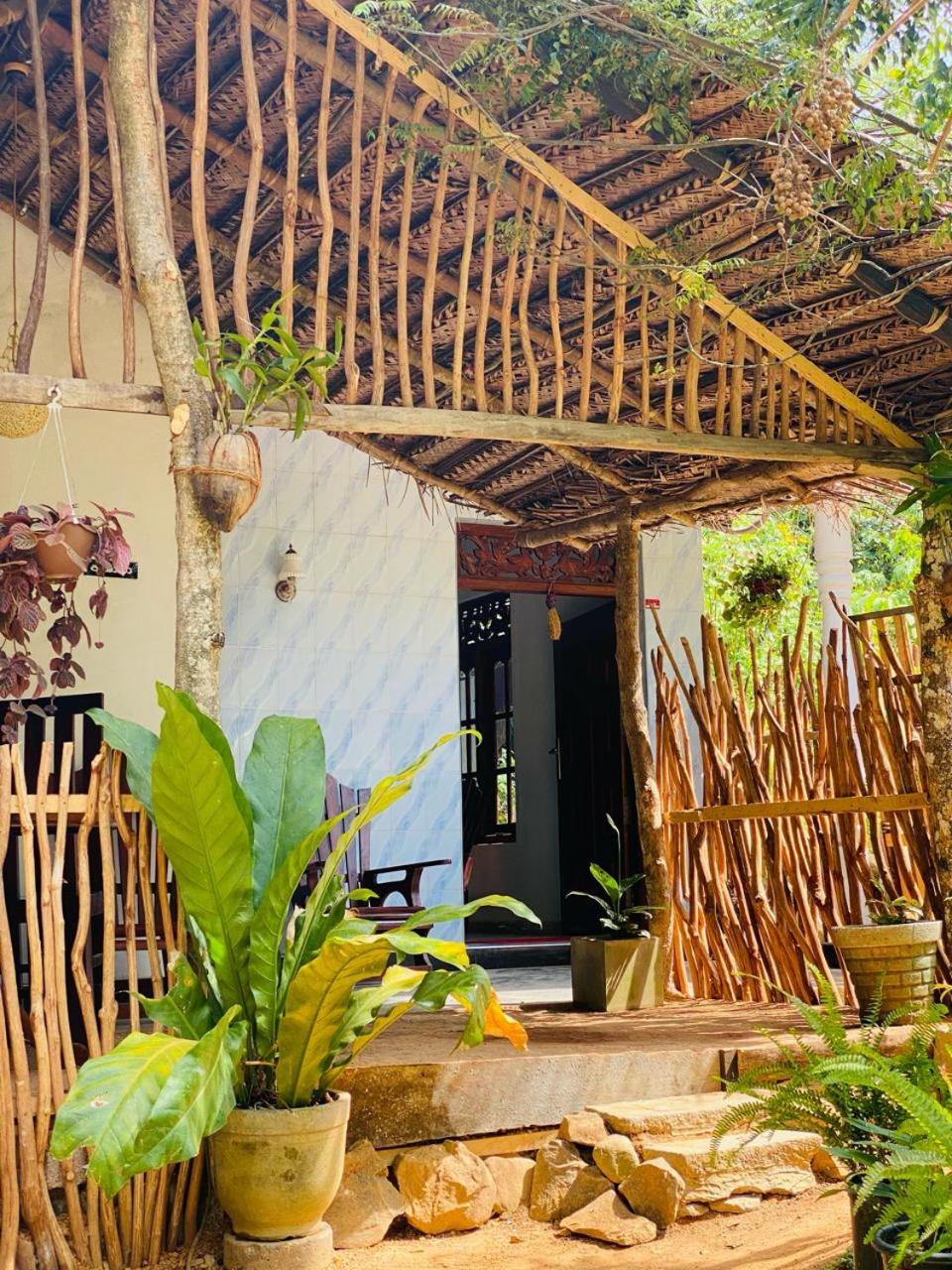 Art house hiriketiya