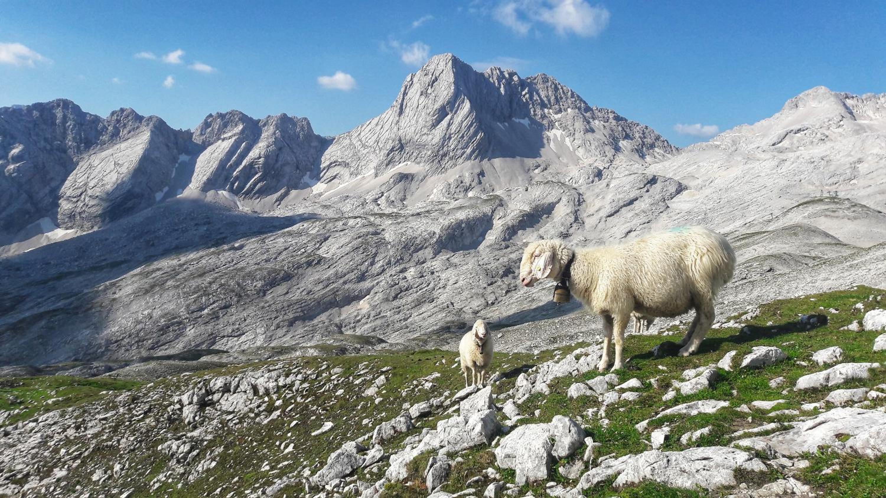 Ferienwohnung Alpspitze