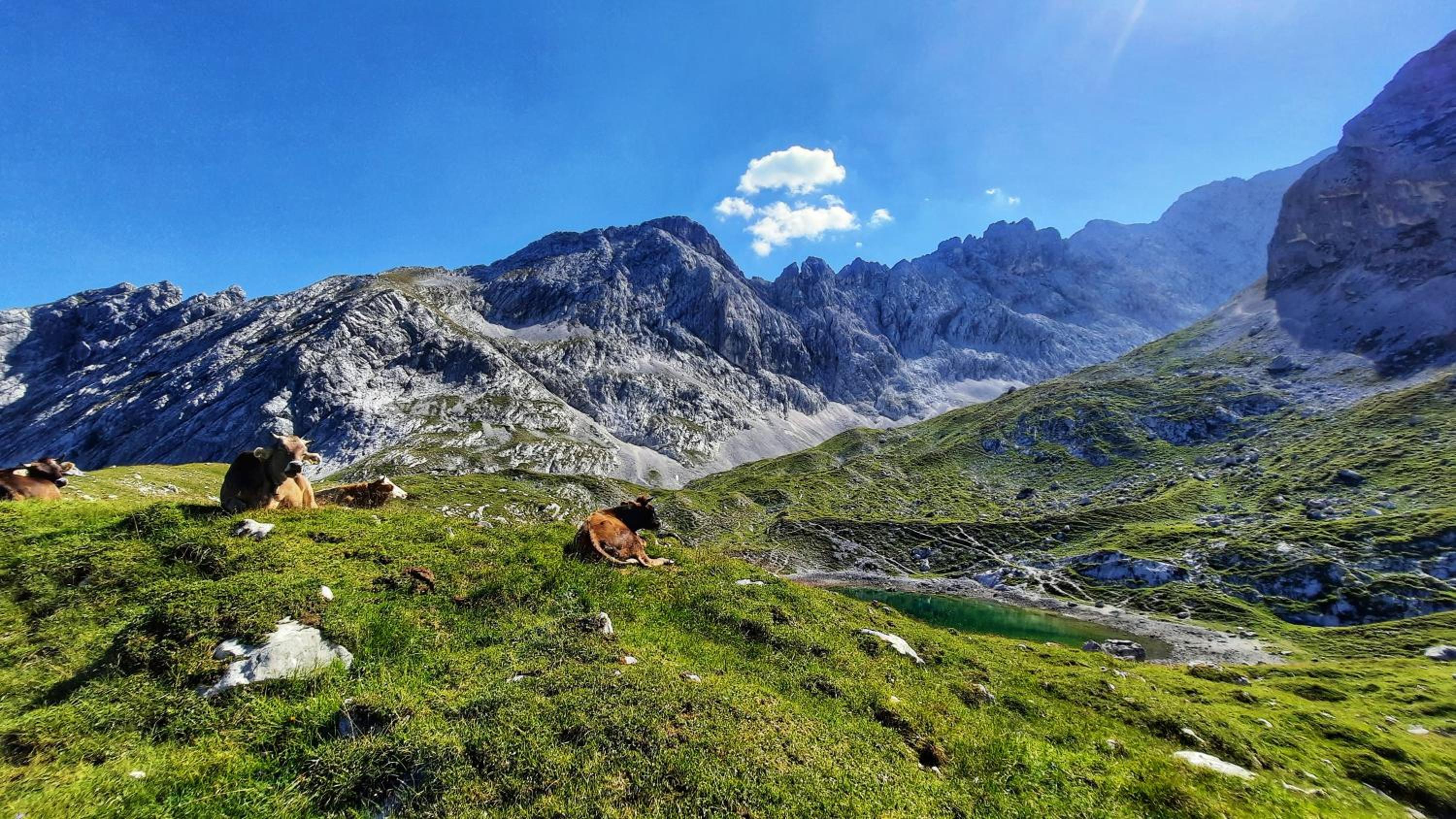 Ferienwohnung Alpspitze