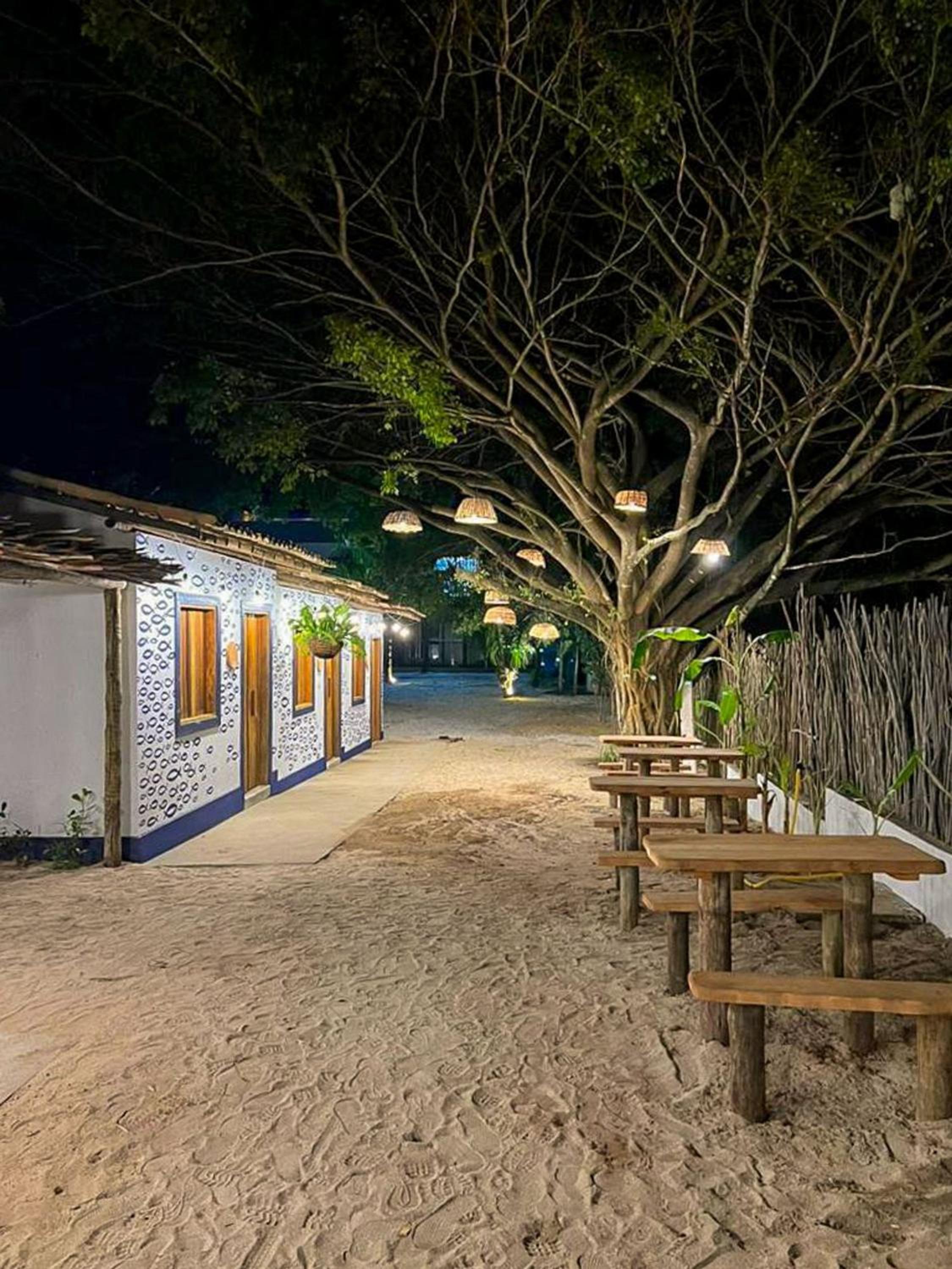 Belo apto a 50m da praia de Tatuamunha TMHC104