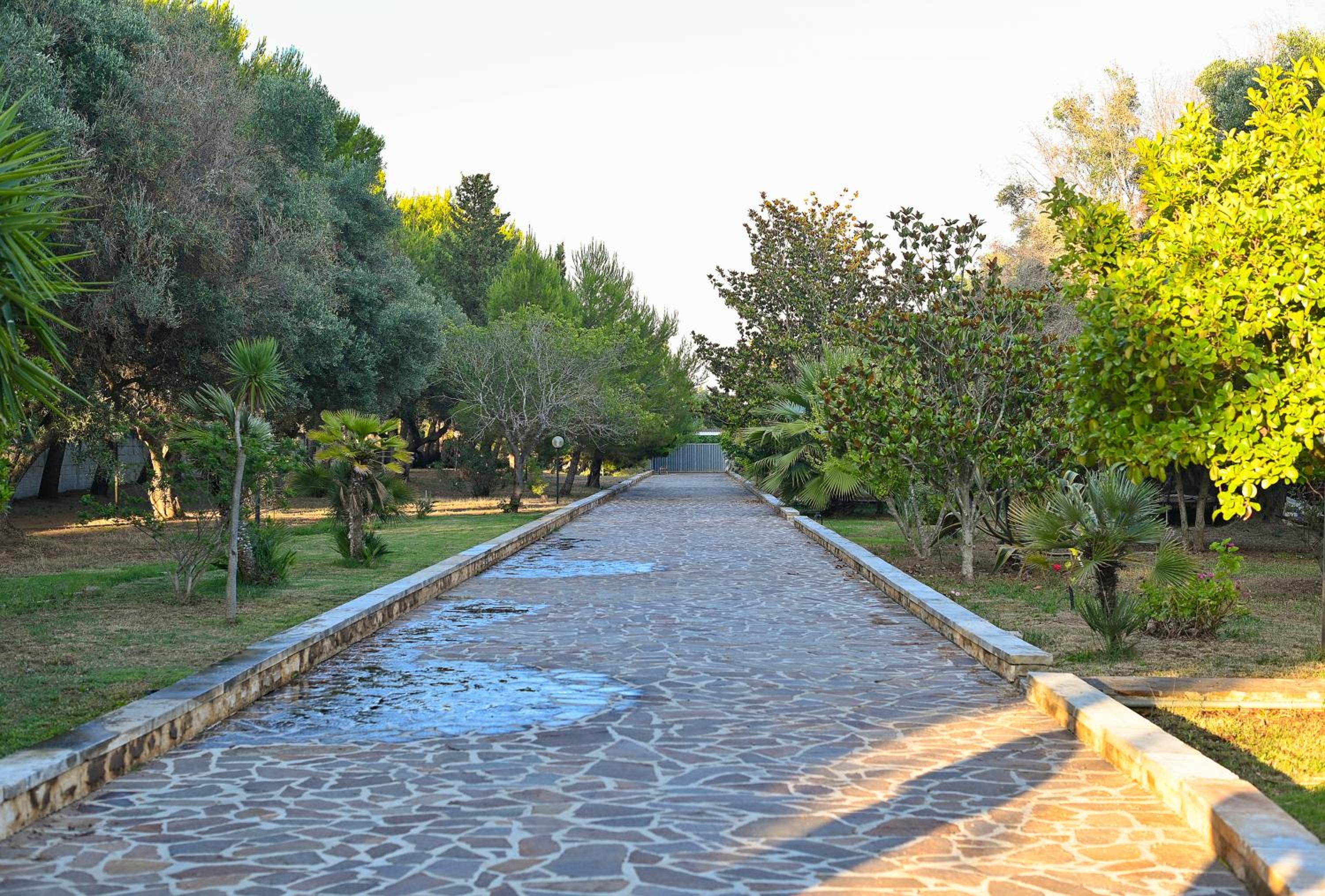 VILLA DELLE LIBELLULE