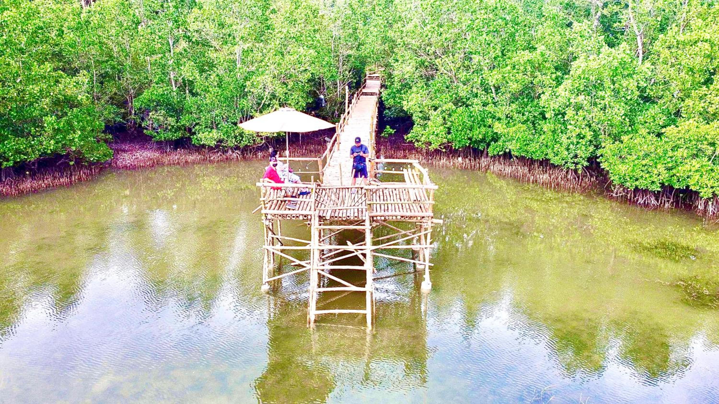 4 Bedrooms Guesthouse with Pool and Mangrove Park view 2