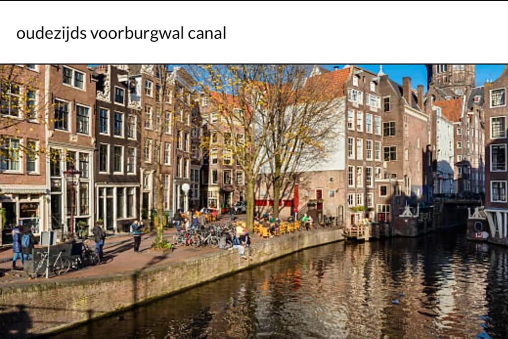 Unique Royal Basement residence