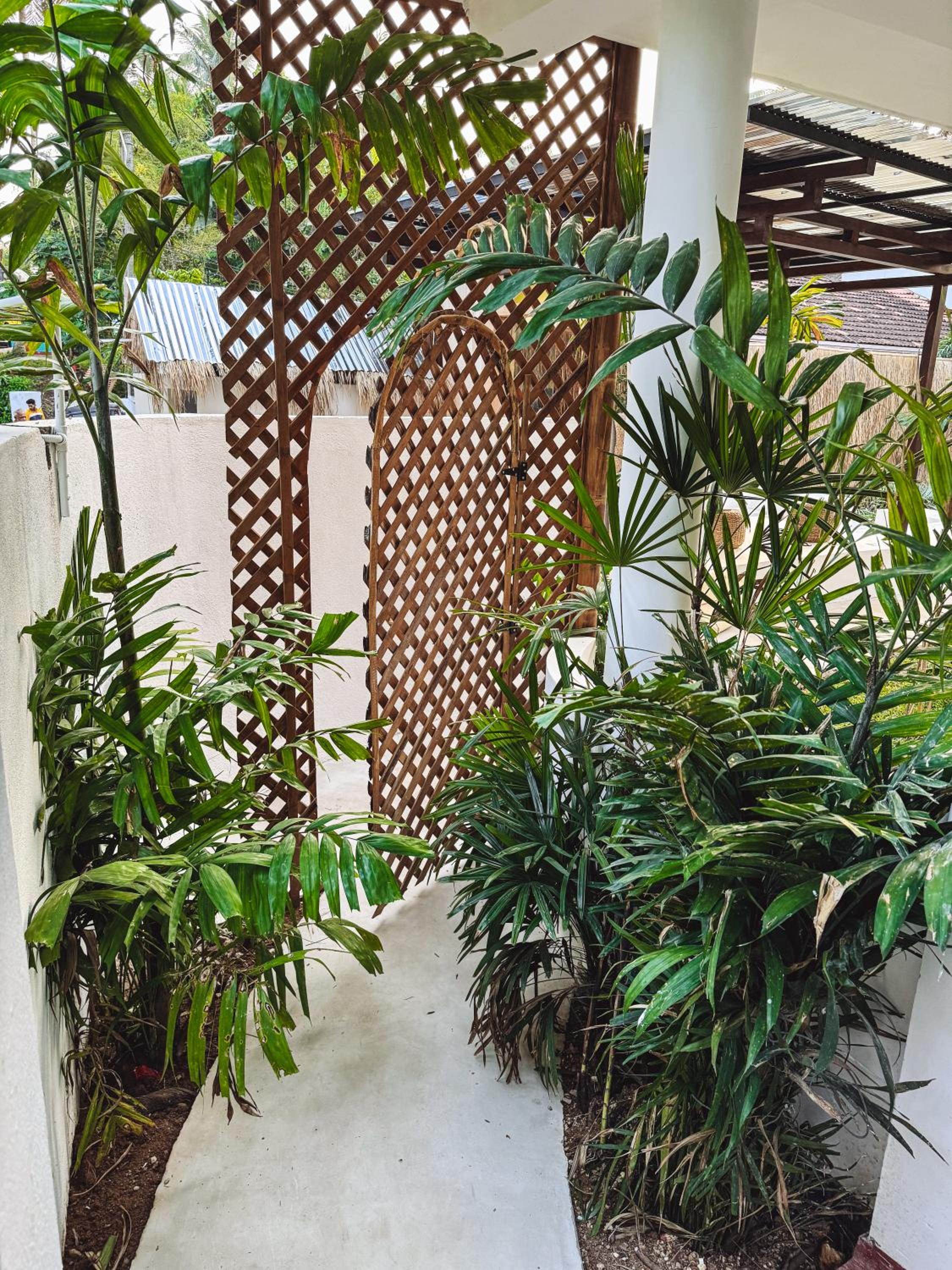 AMMA Collective - Rooms&Suites