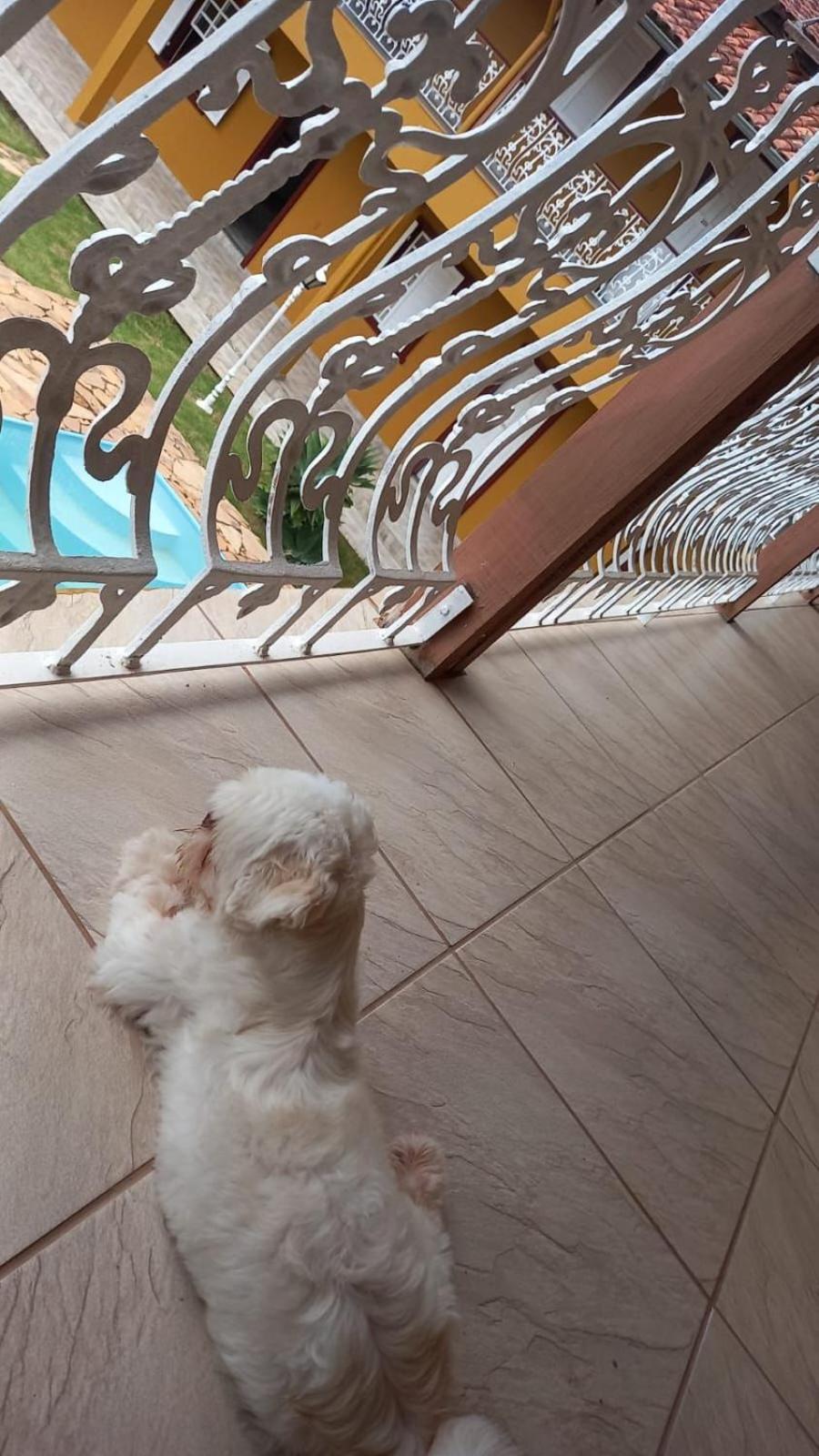 Pousada Prana Bichinho