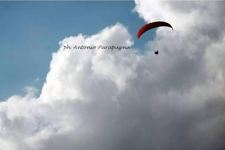 Photo 35