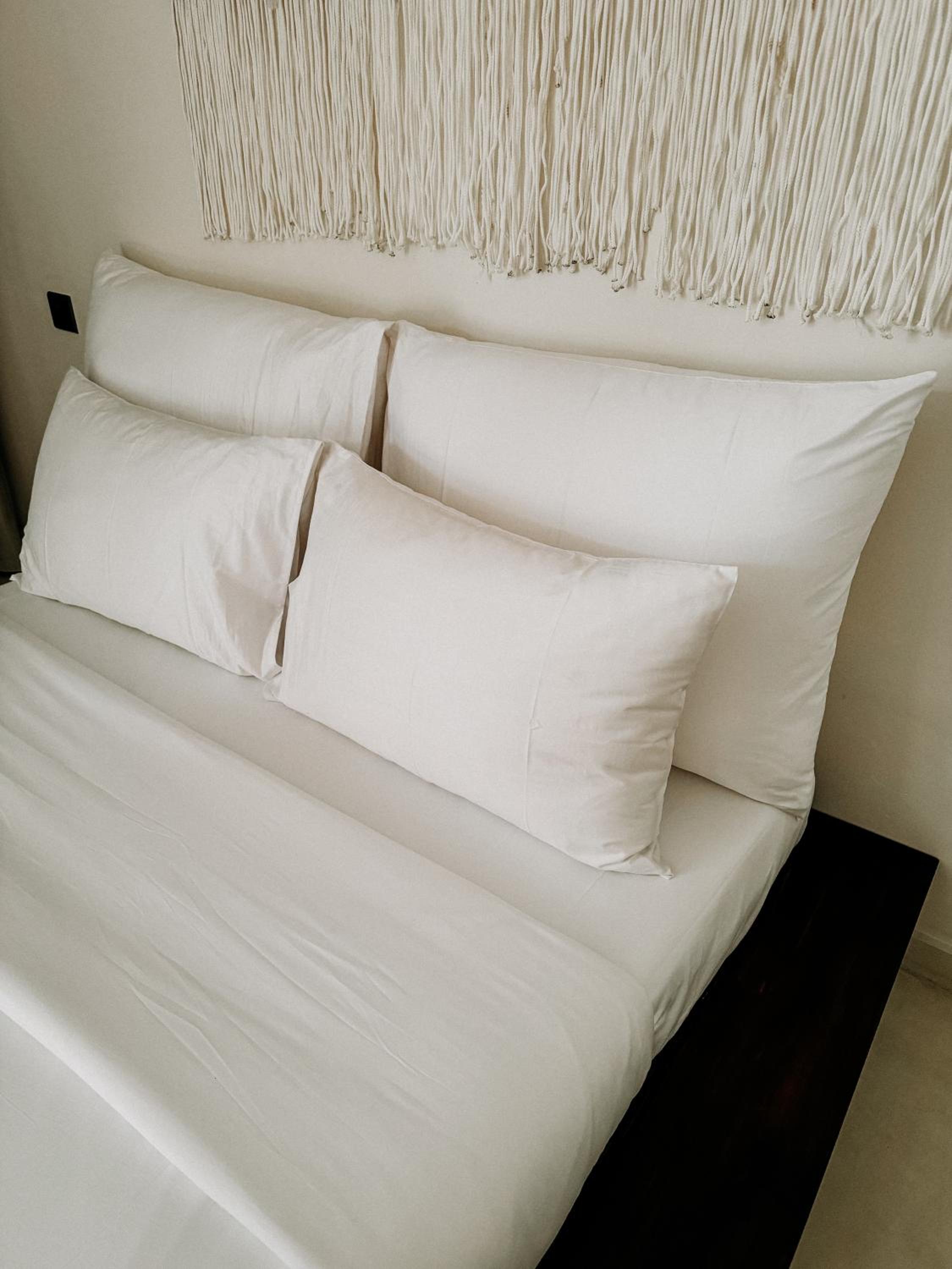 AMMA Collective - Rooms&Suites