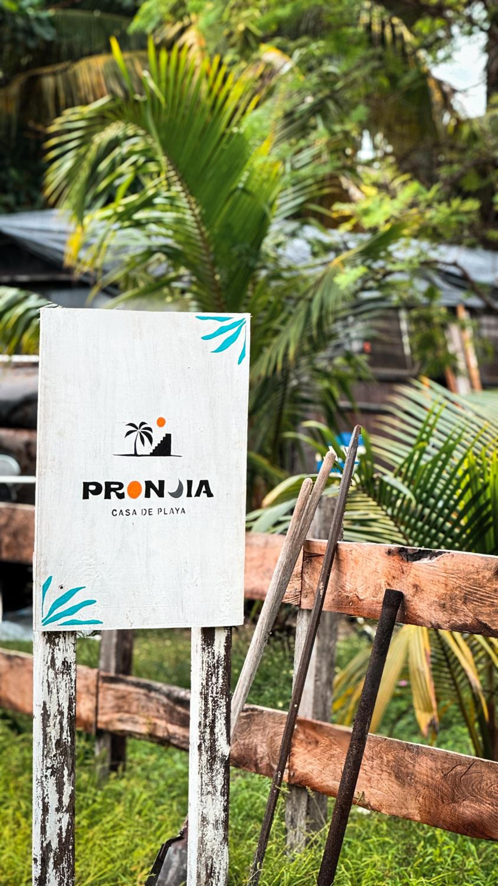 Pronoia Casa de Playa view 4