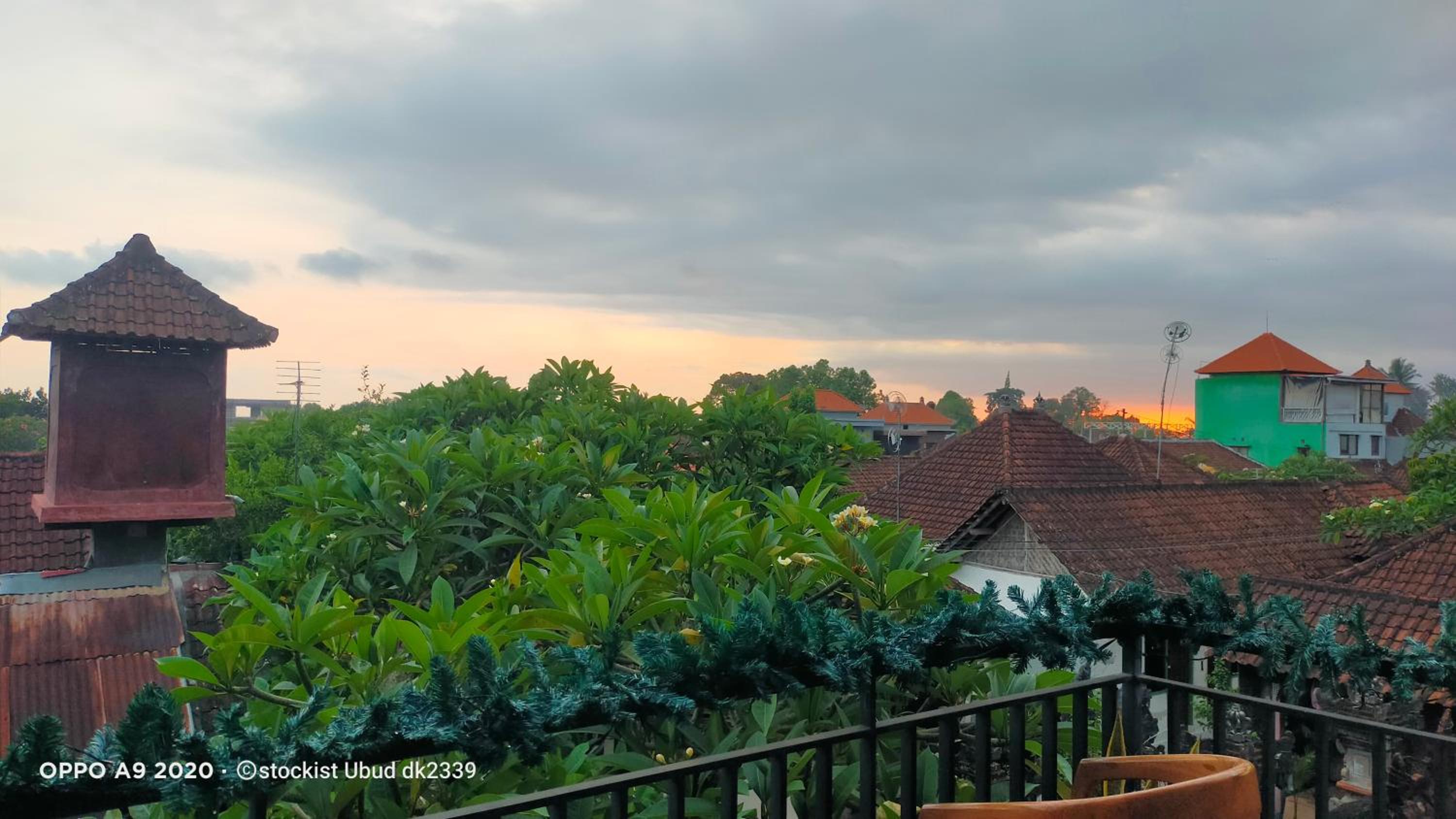 DANU HOUSE UBUD view 4