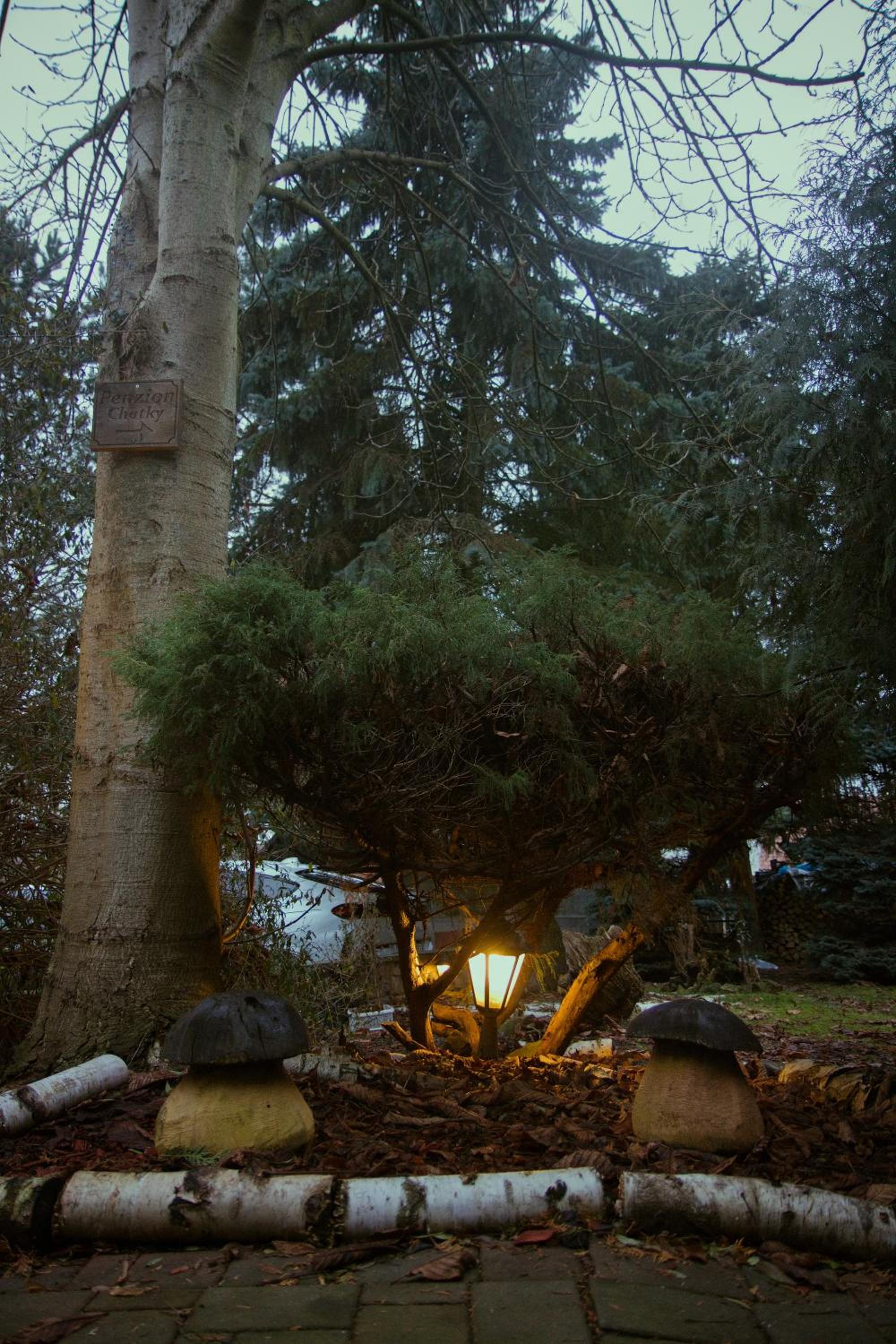 Photo 48