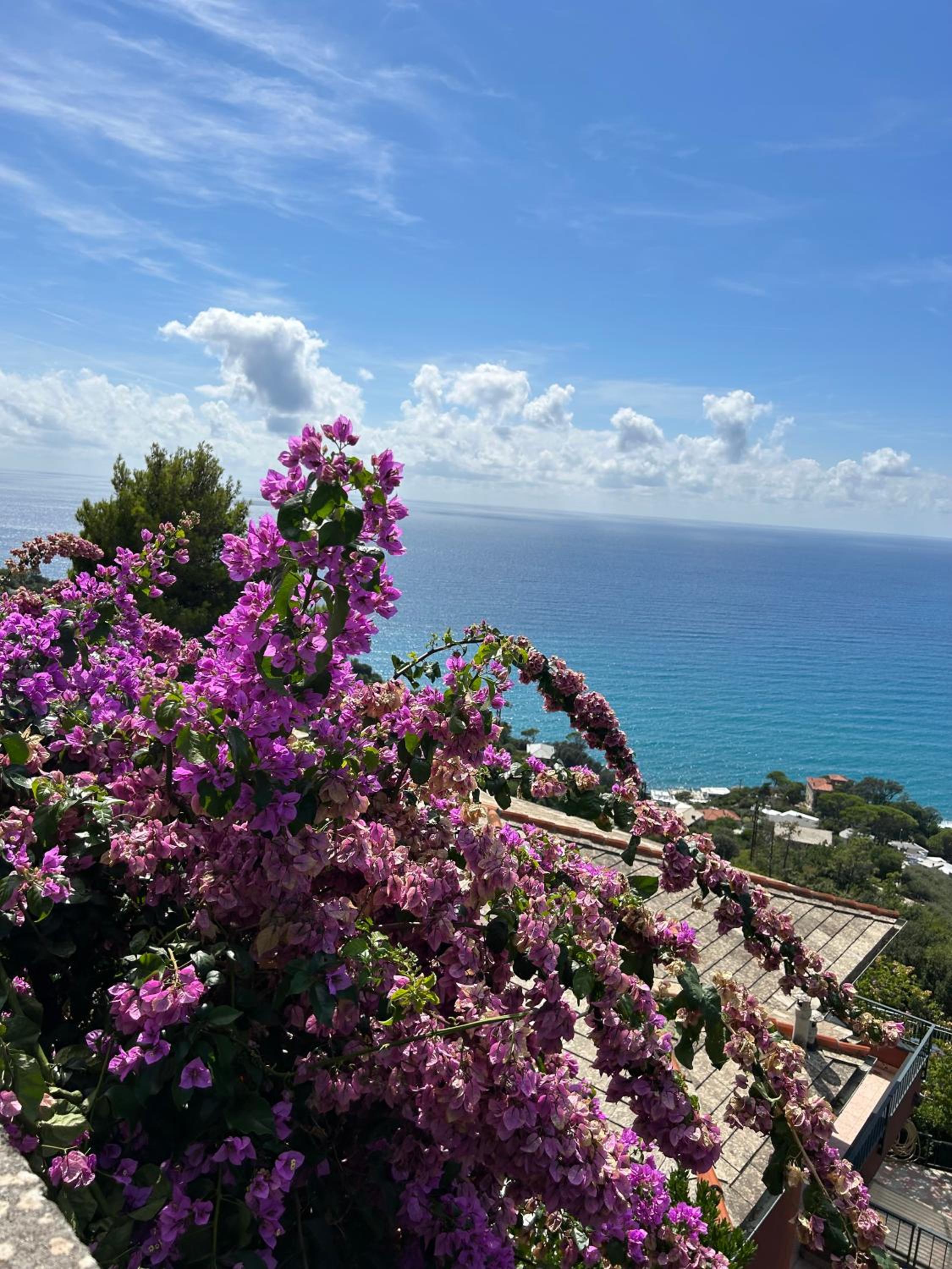 Beautiful Tigullio