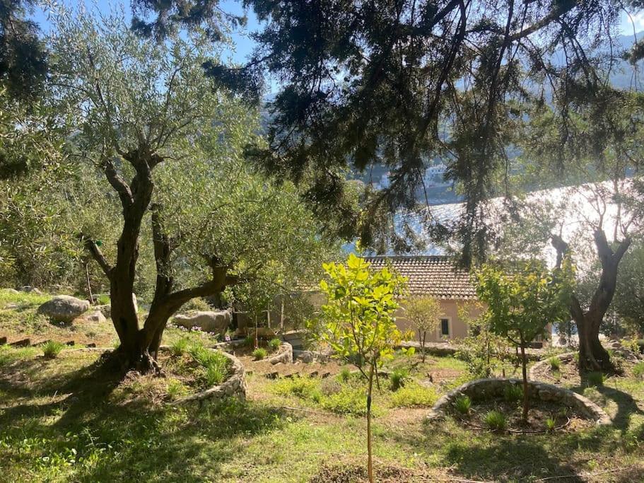 Sea front house in Kassiopi view 3