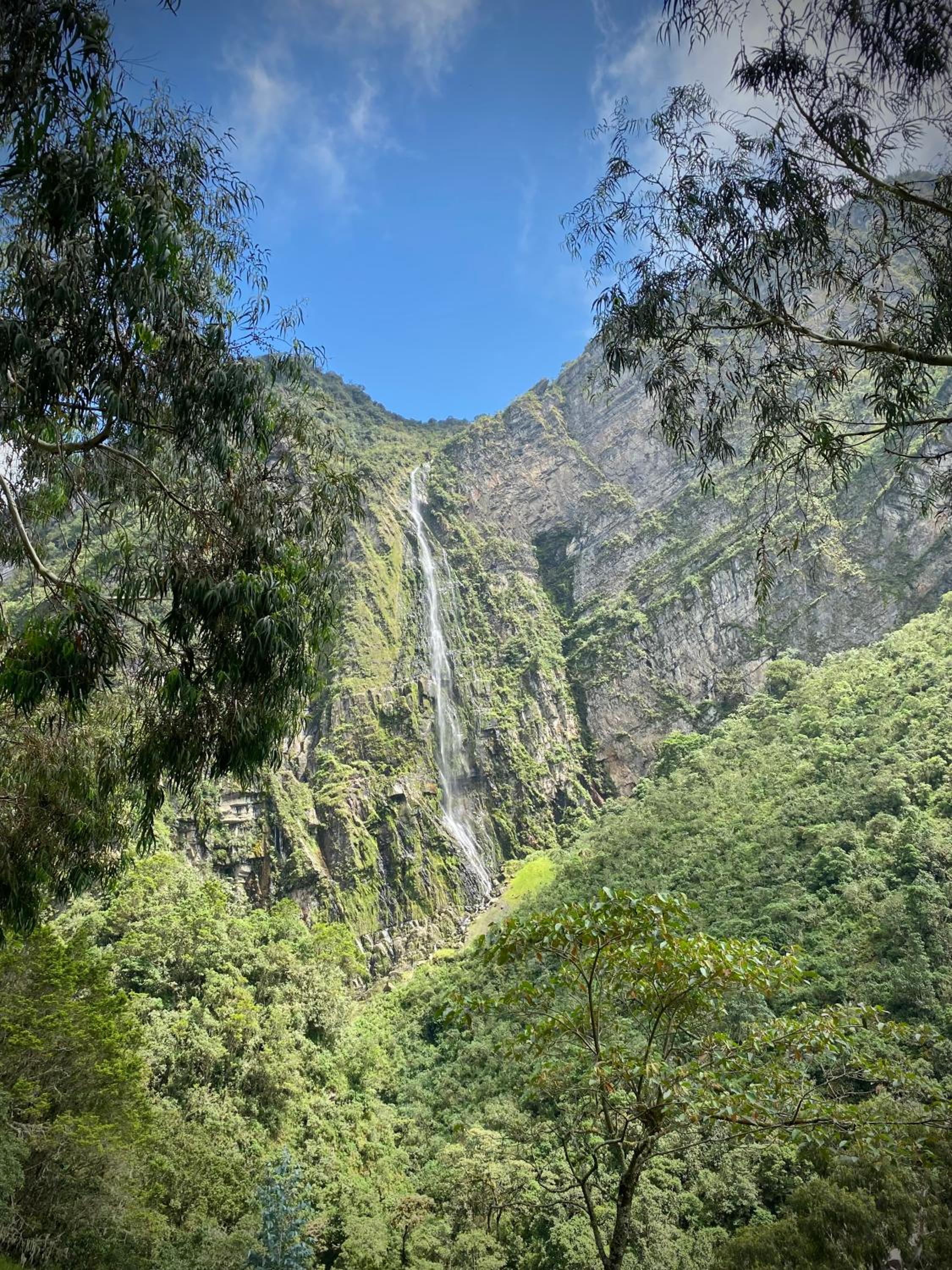Taikú - Cabañas de Madera