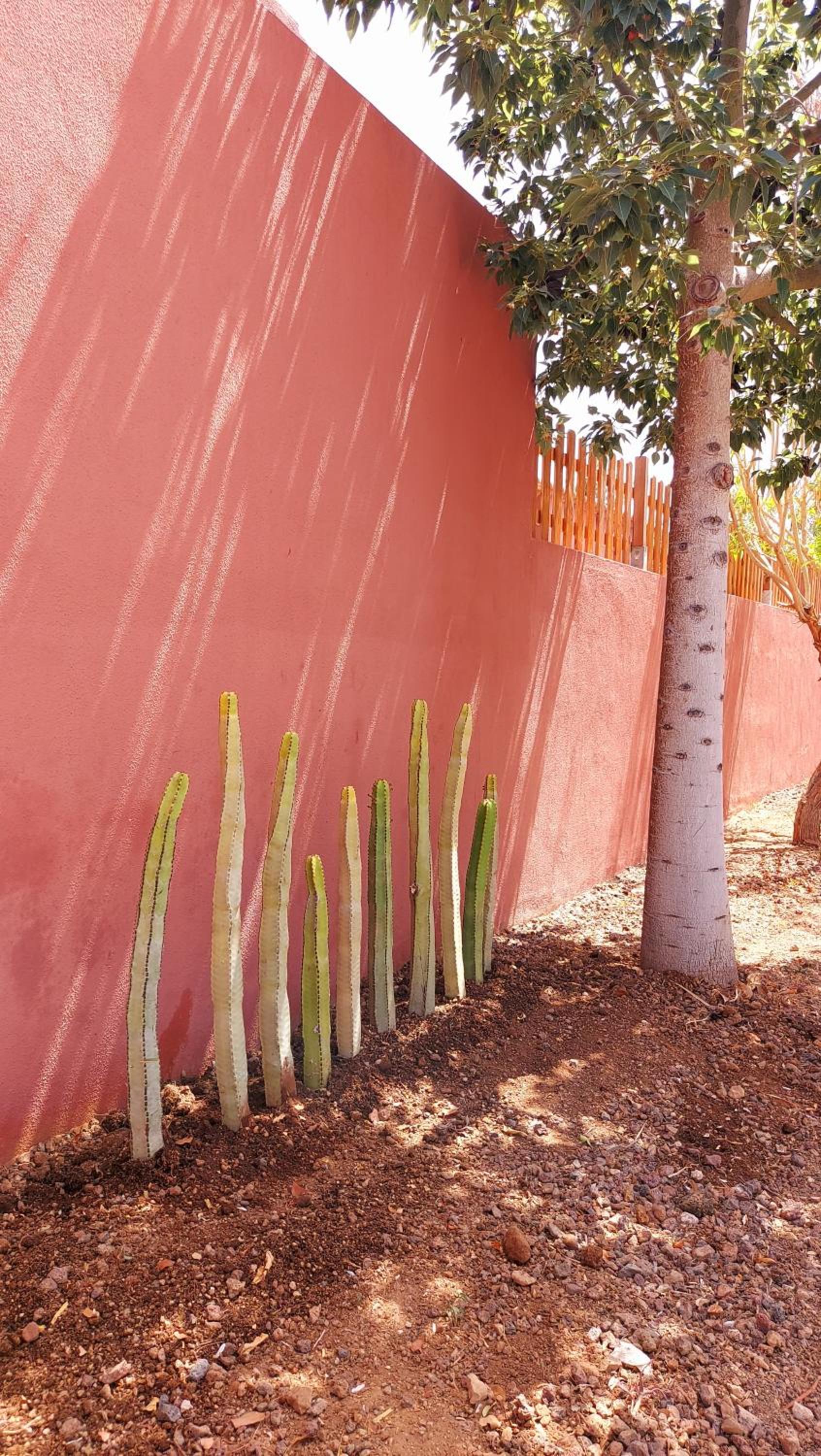 Adosado la Tabaiba
